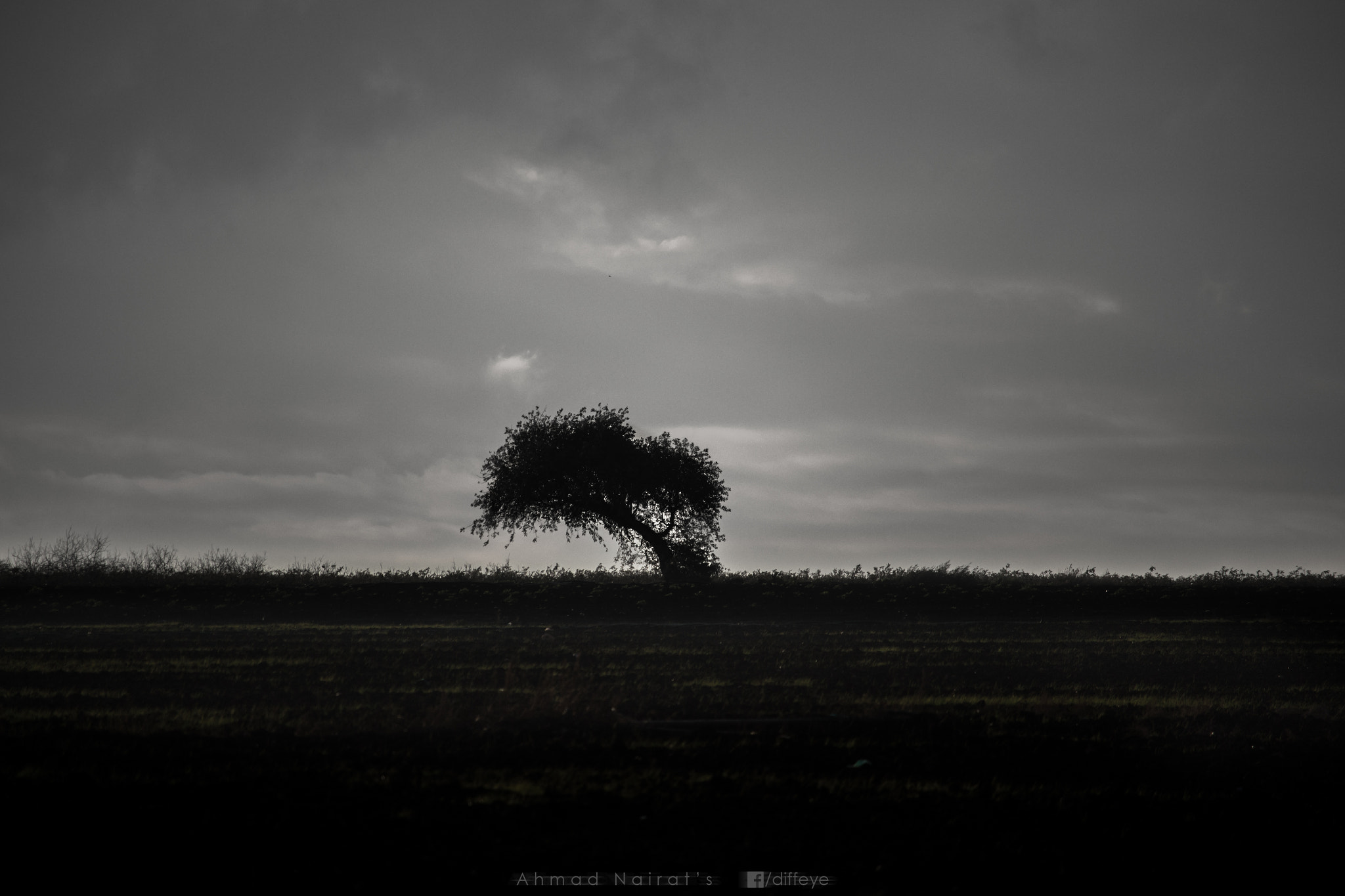 Canon EF-S 55-250mm F4-5.6 IS STM sample photo. Alone in the wind photography