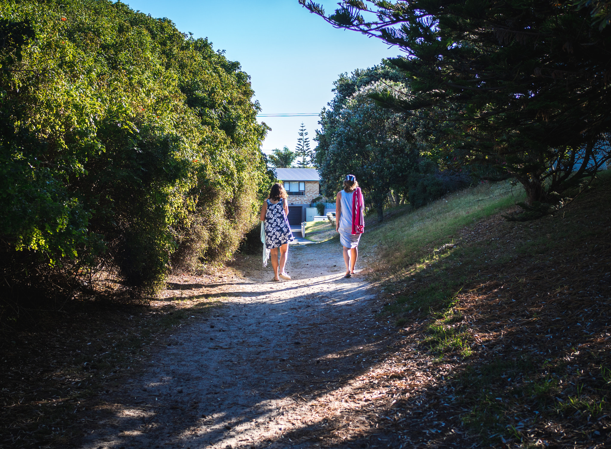 Olympus OM-D E-M10 II + Olympus M.Zuiko Digital 25mm F1.8 sample photo. Tauranga nz photography