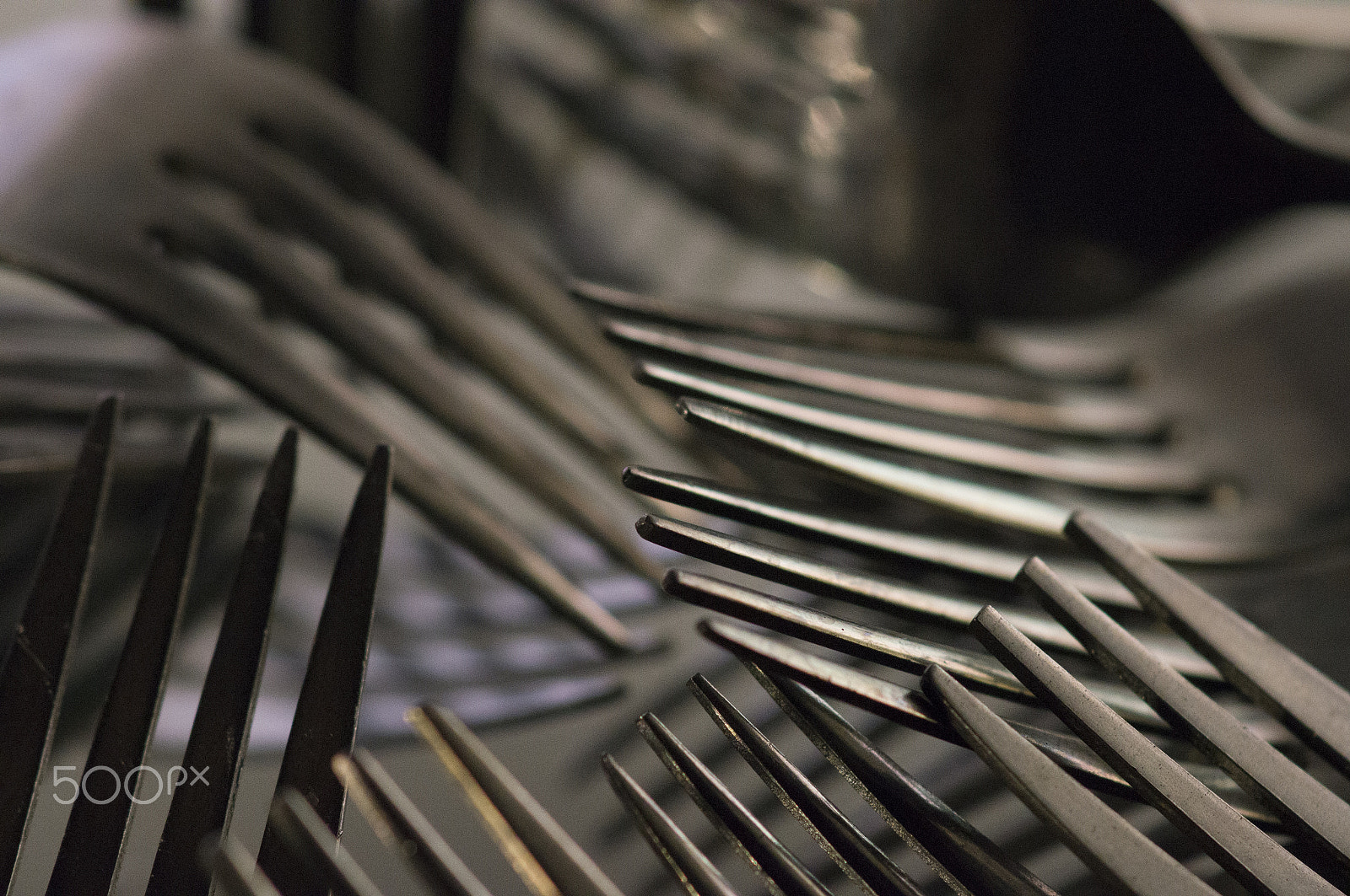 Sony 100mm F2.8 Macro sample photo. Convergence photography