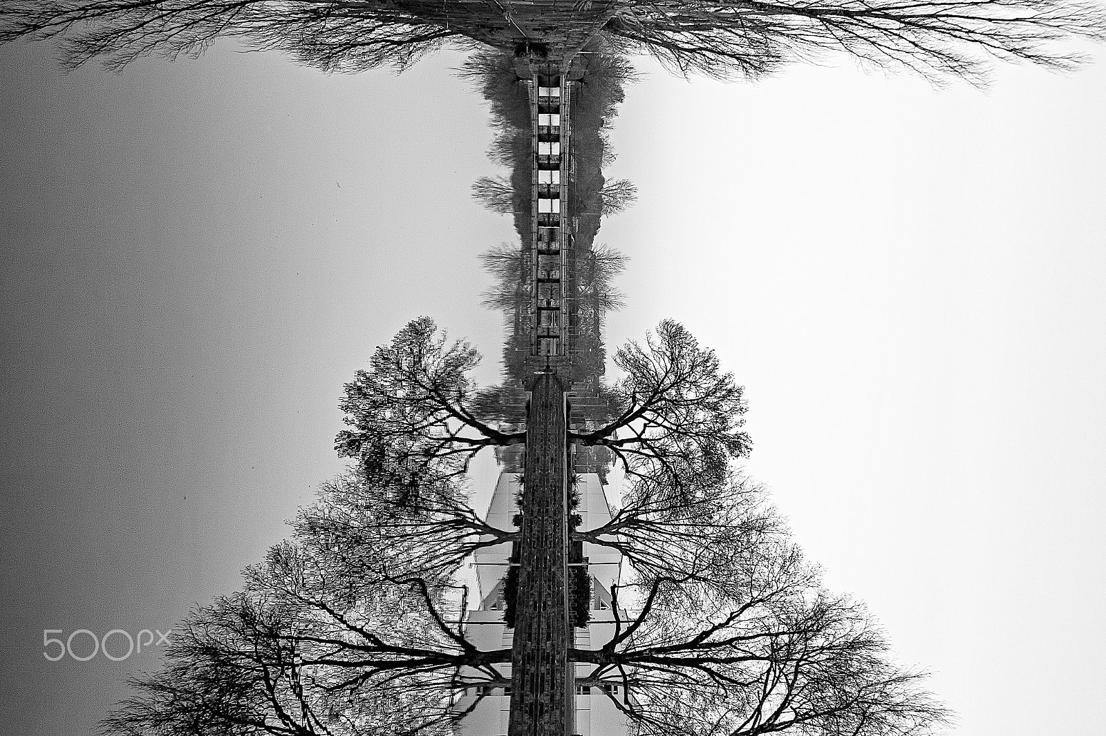 Canon EOS 500D (EOS Rebel T1i / EOS Kiss X3) sample photo. Symmetry of reflection. photography