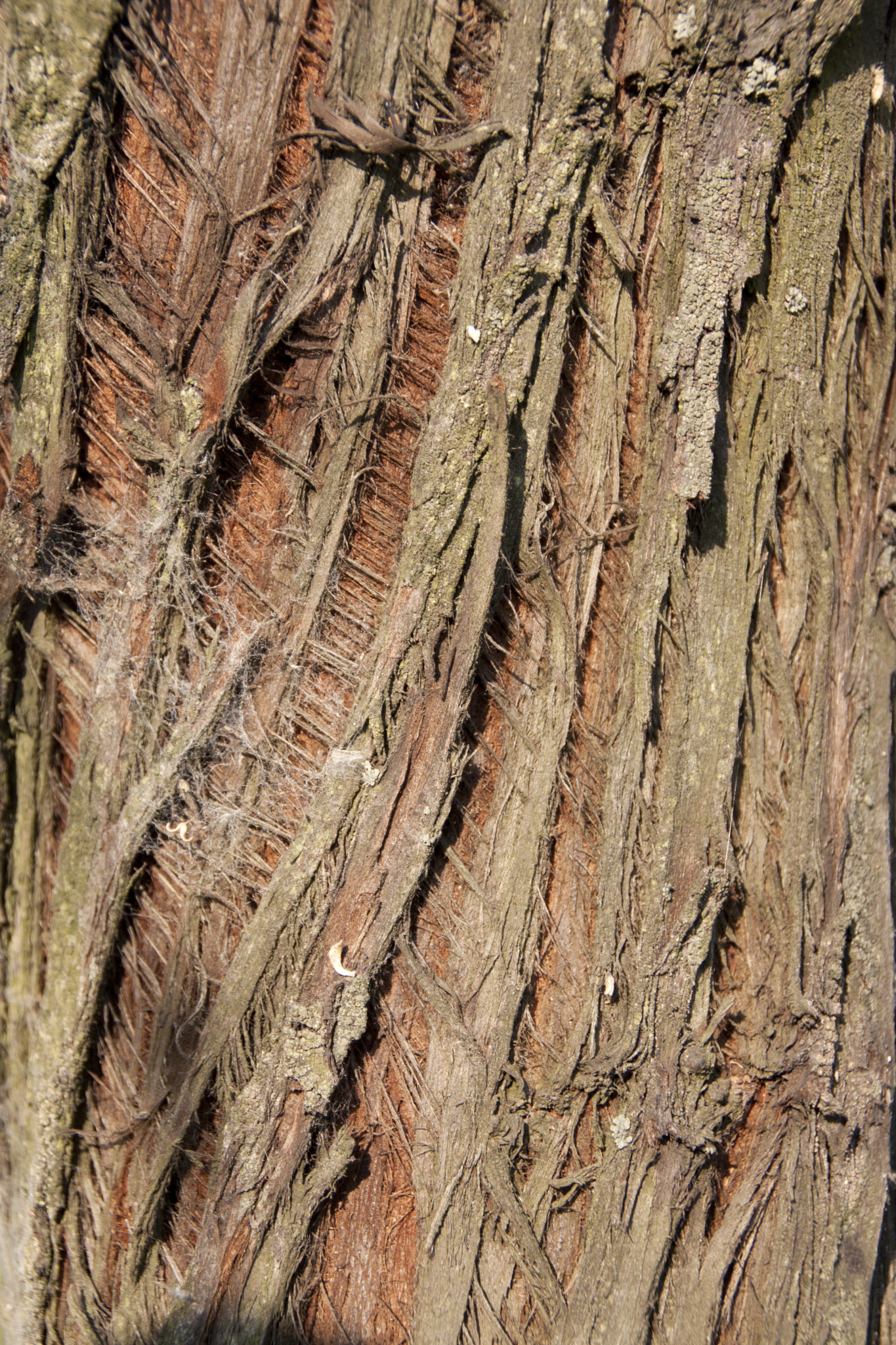 Canon EOS 50D sample photo