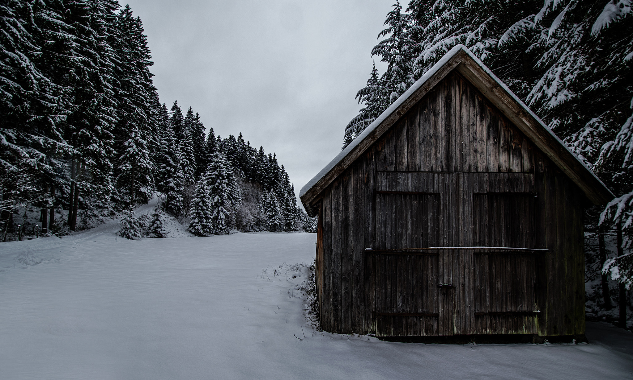 Nikon D3300 + Nikon AF-S DX Nikkor 10-24mm F3-5-4.5G ED sample photo. The lonely hous in the black forest photography