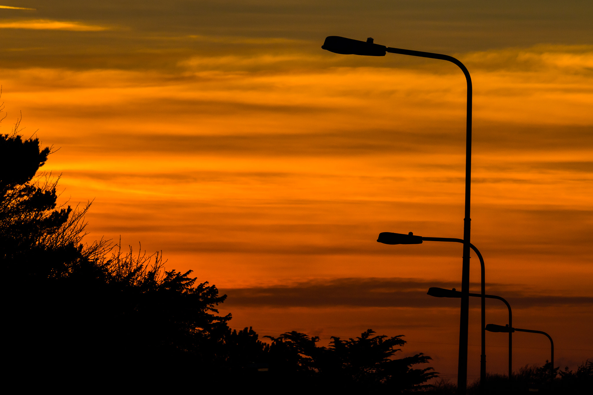 Tamron SP 35mm F1.8 Di VC USD sample photo. Following the road photography