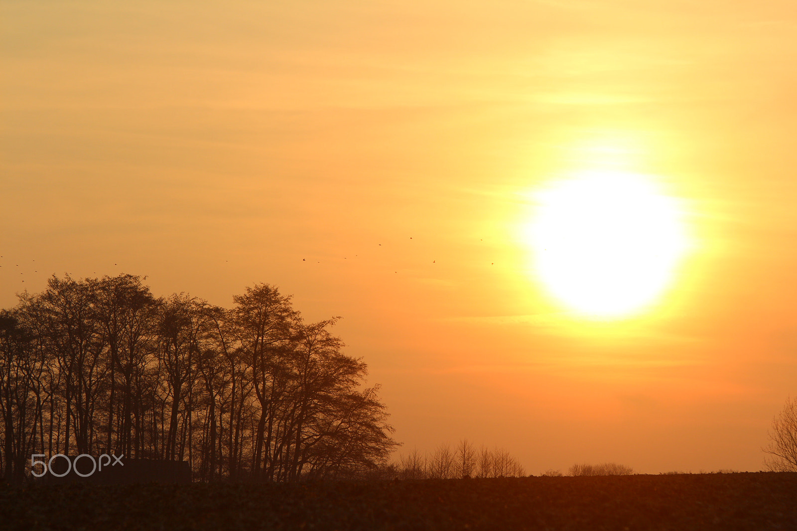 Canon EF 28-135mm F3.5-5.6 IS USM sample photo. Sunset photography
