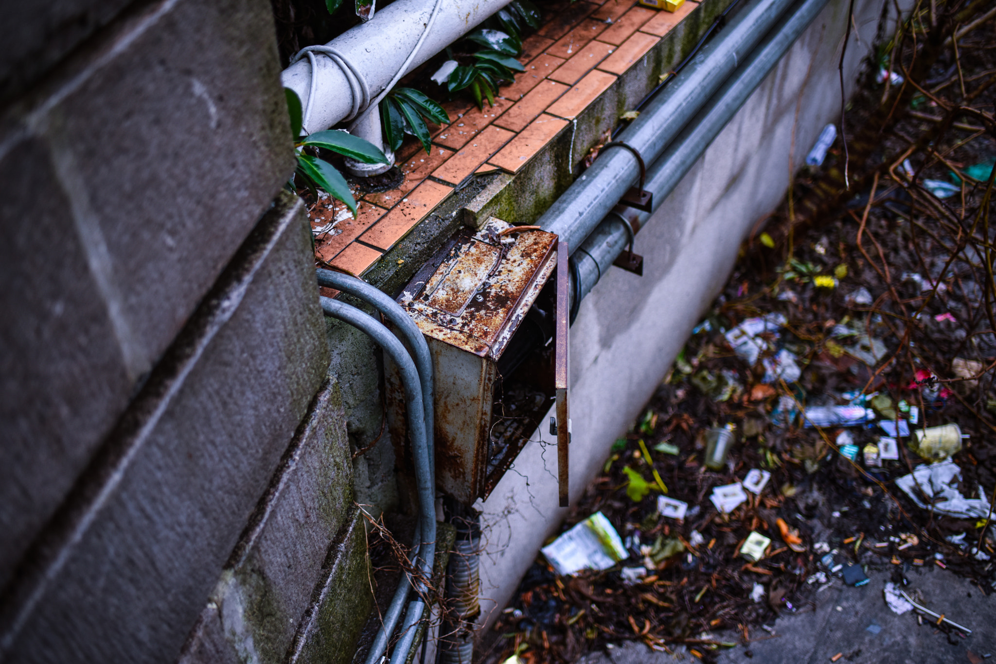 Nikon AF-S Nikkor 35mm F1.8G ED sample photo. The bund photography