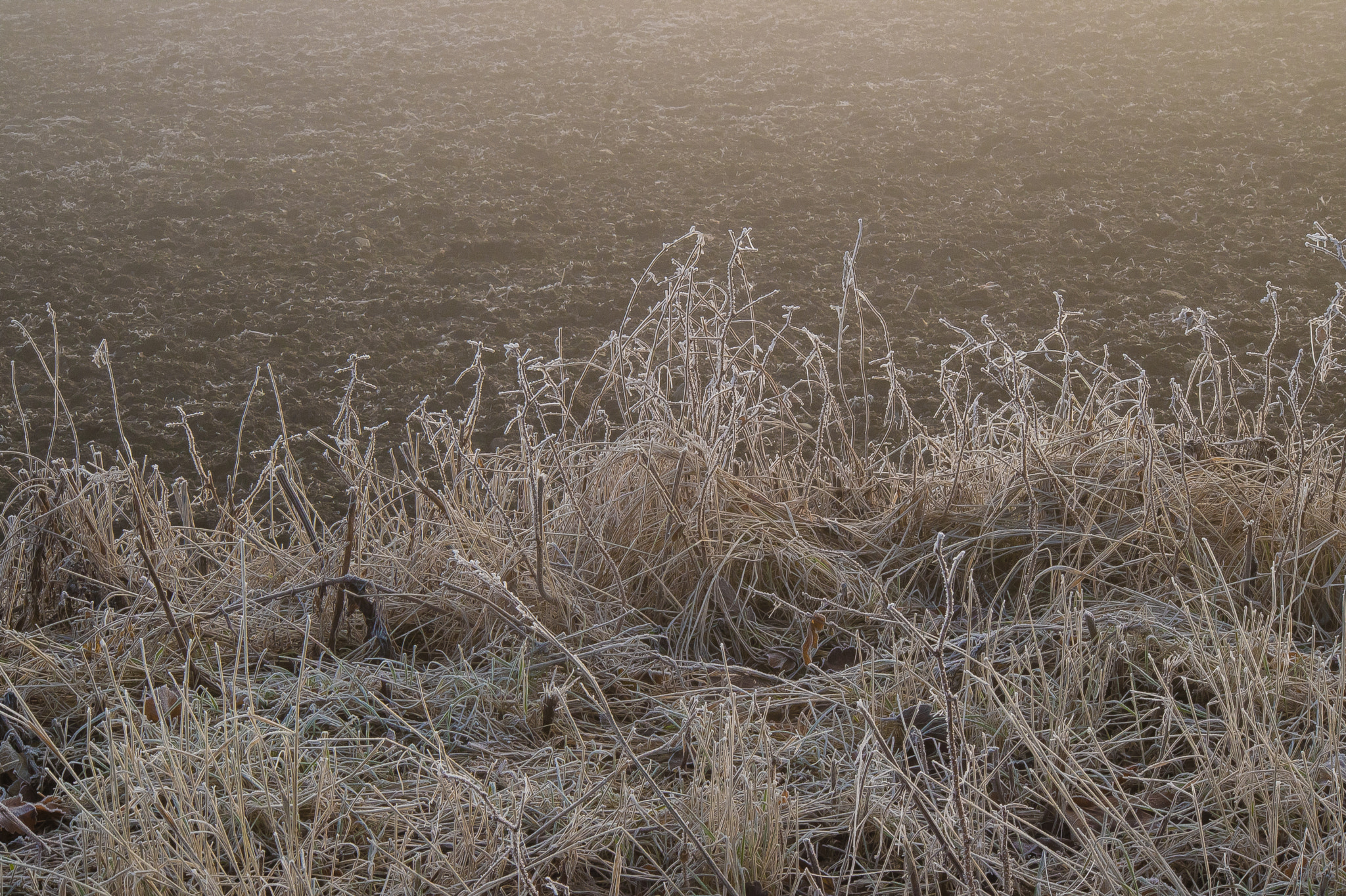 Canon EOS M3 sample photo. Frozen earth photography