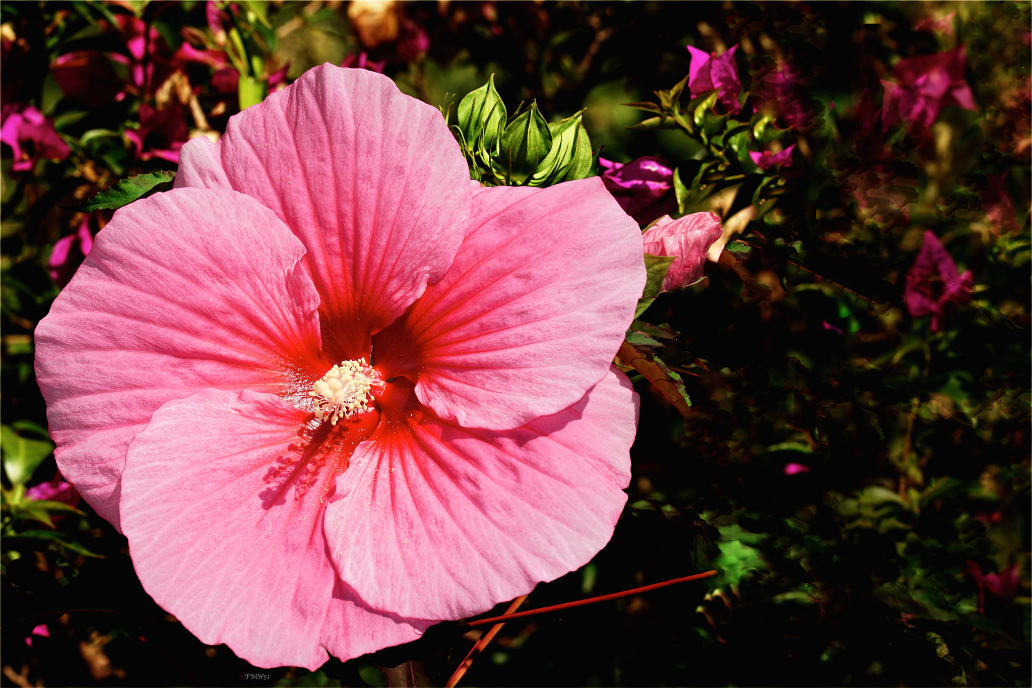 Sony Sonnar T* 135mm F1.8 ZA sample photo. Summer storm photography