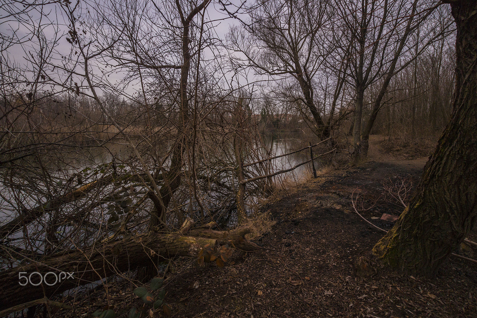 Sigma 10-20mm F3.5 EX DC HSM sample photo. Cassano magnago photography