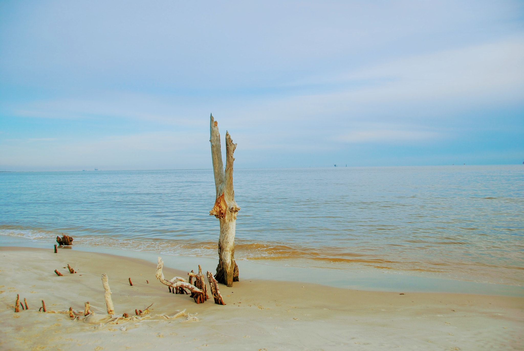 Nikon D40X sample photo. Accompanying photography