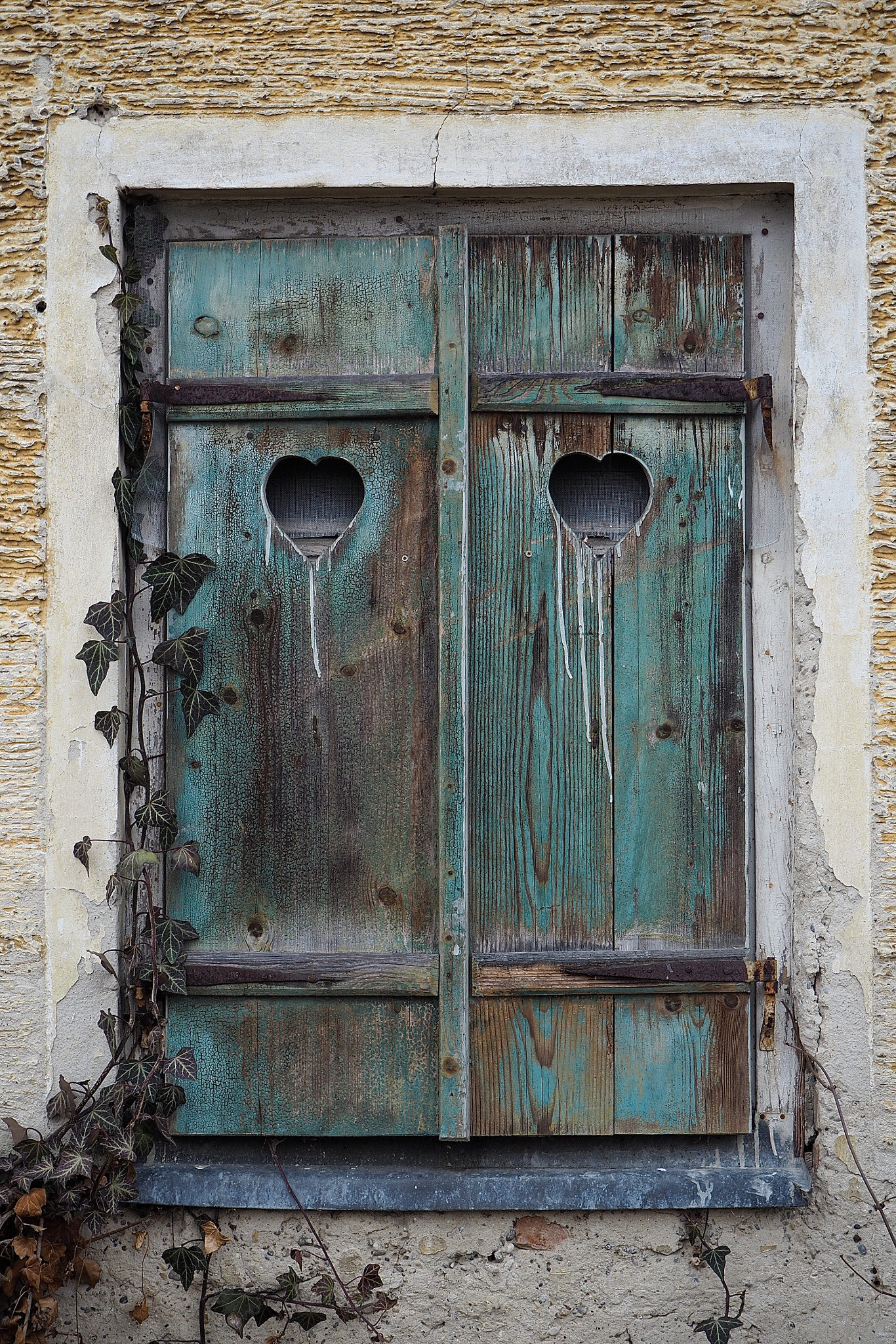 Olympus OM-D E-M5 II sample photo. Forgotten hearts photography