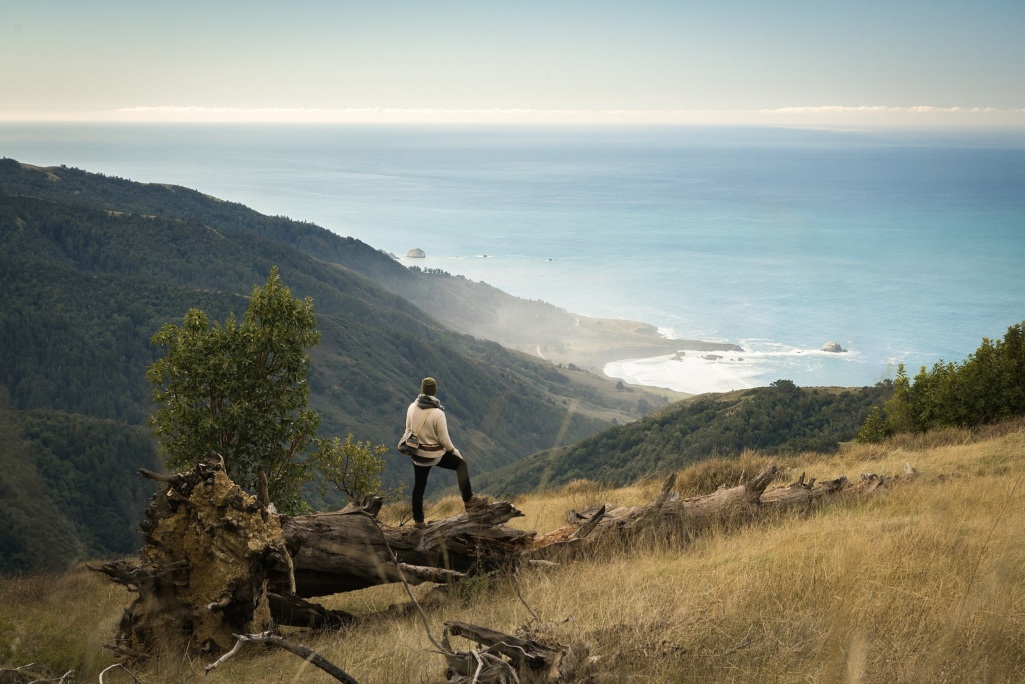 Canon EF 24-70mm F2.8L USM sample photo. Big sur photography