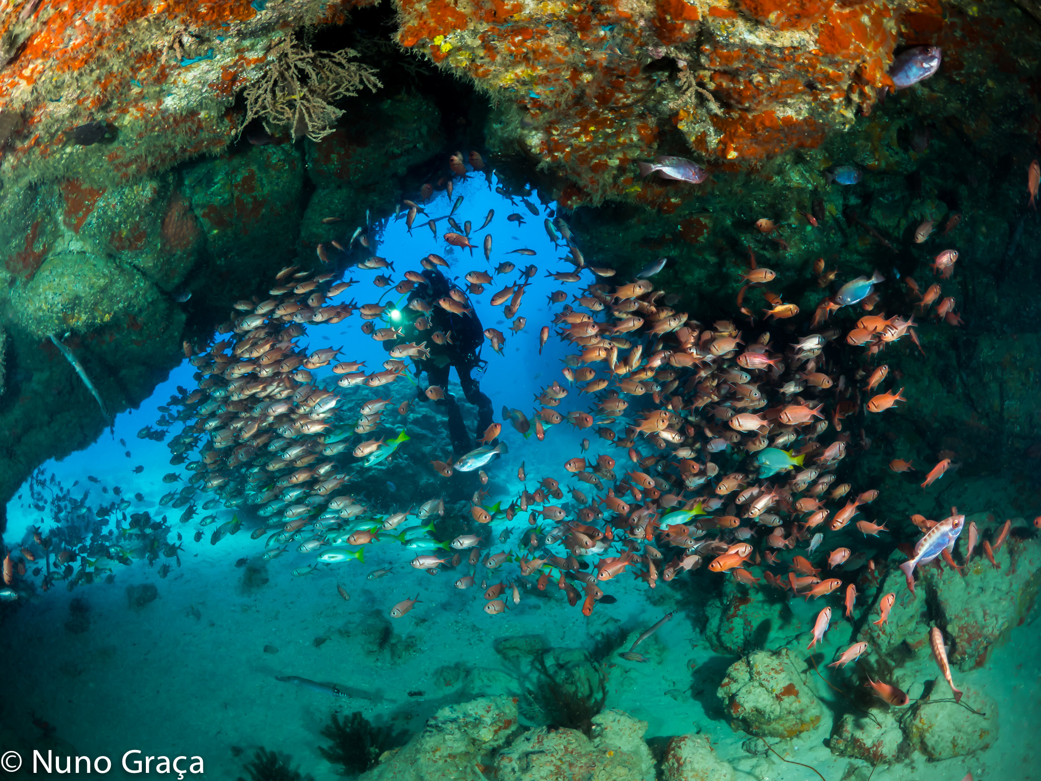 OLYMPUS M.8mm F1.8 sample photo. Cape verde cavern photography