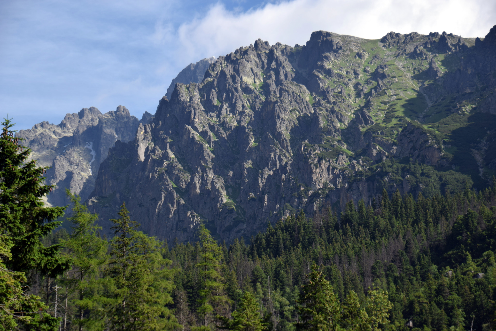 Nikon D5300 + Tamron 18-270mm F3.5-6.3 Di II VC PZD sample photo. Summer high mountains photography