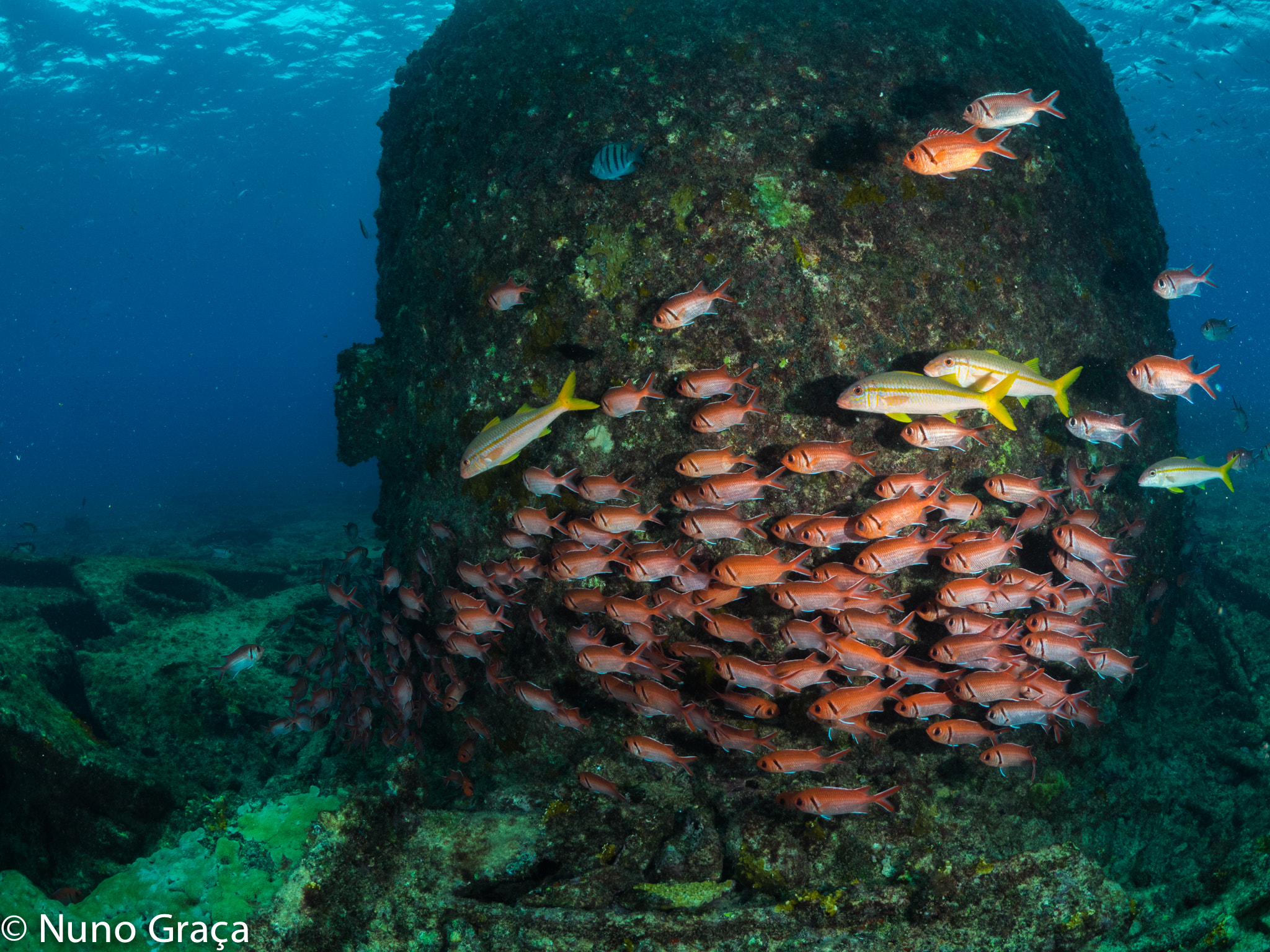 Olympus OM-D E-M1 + OLYMPUS M.8mm F1.8 sample photo. Ship’s boiler in wreckage photography