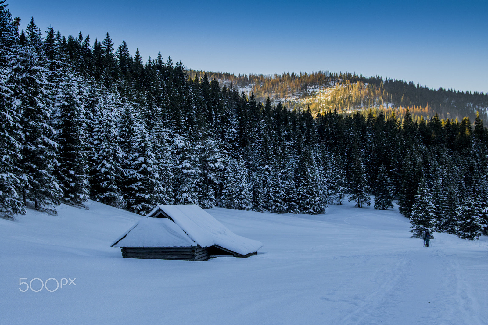 Canon EOS 750D (EOS Rebel T6i / EOS Kiss X8i) sample photo. A hut photography