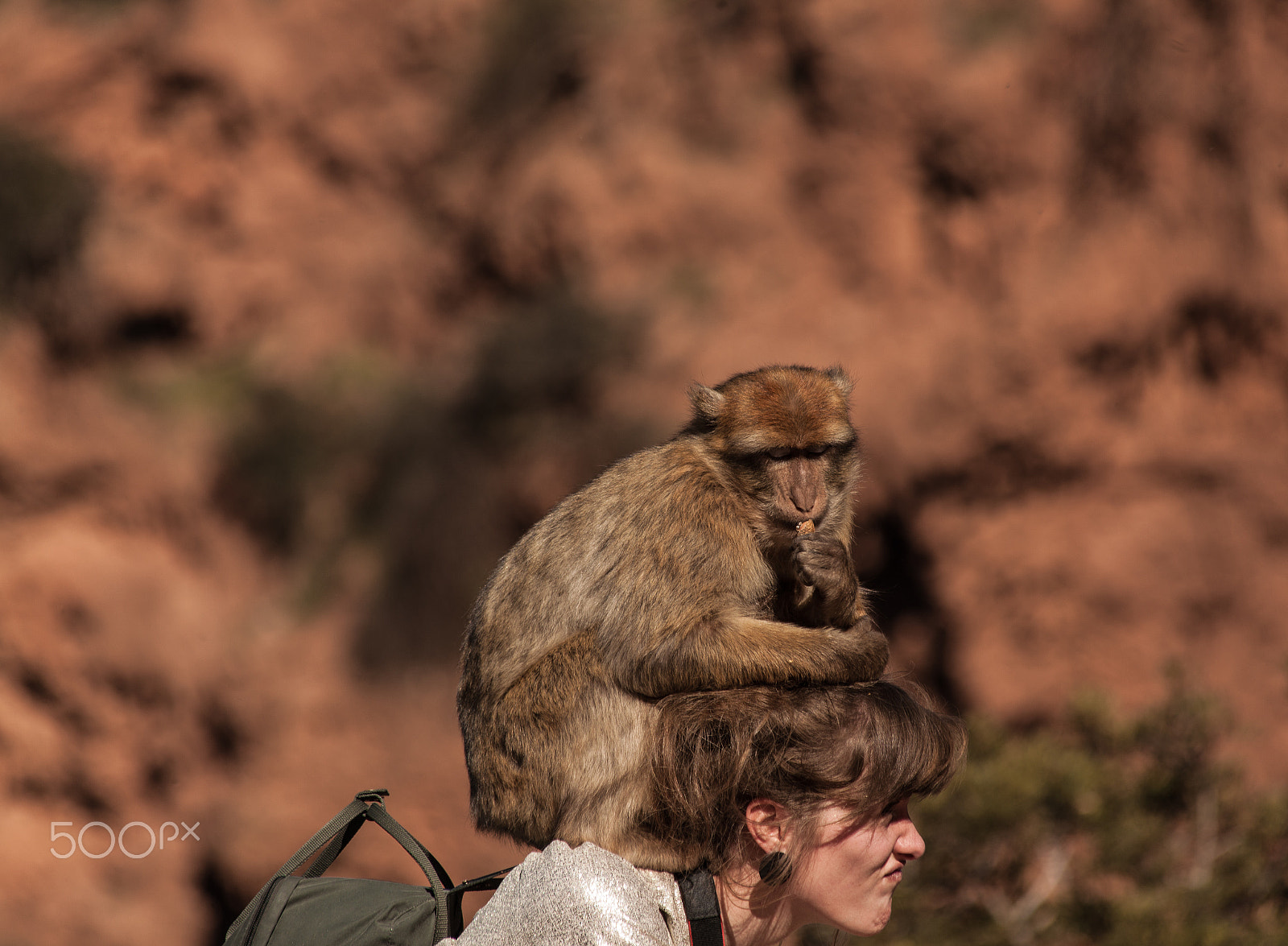 Canon EF 70-300mm F4-5.6 IS USM sample photo. Morroco, ouzoud waterfall photography
