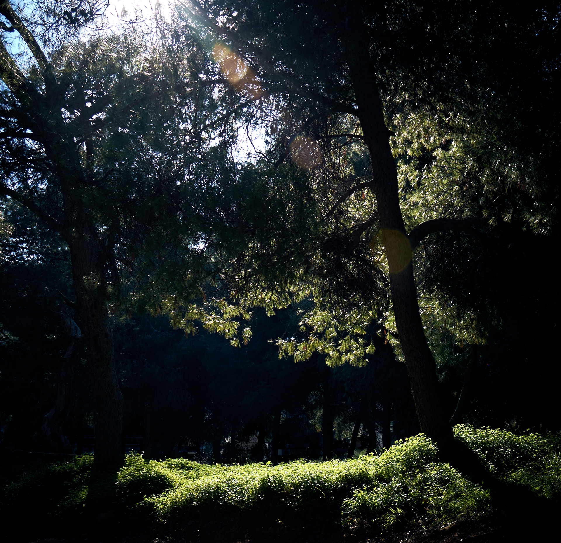 Nikon D7200 sample photo