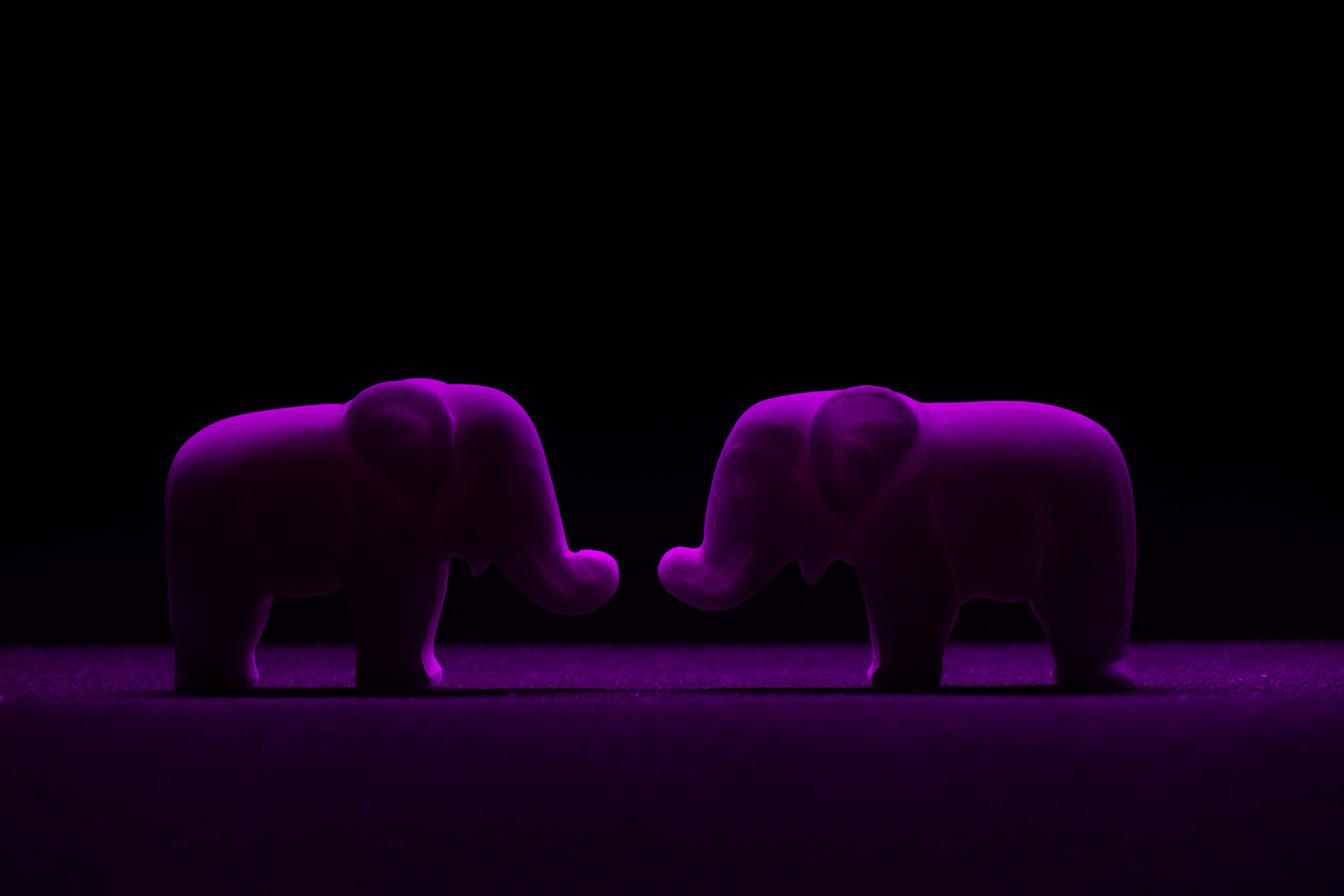 Sony 75-300mm F4.5-5.6 sample photo. Jazz elephants photography