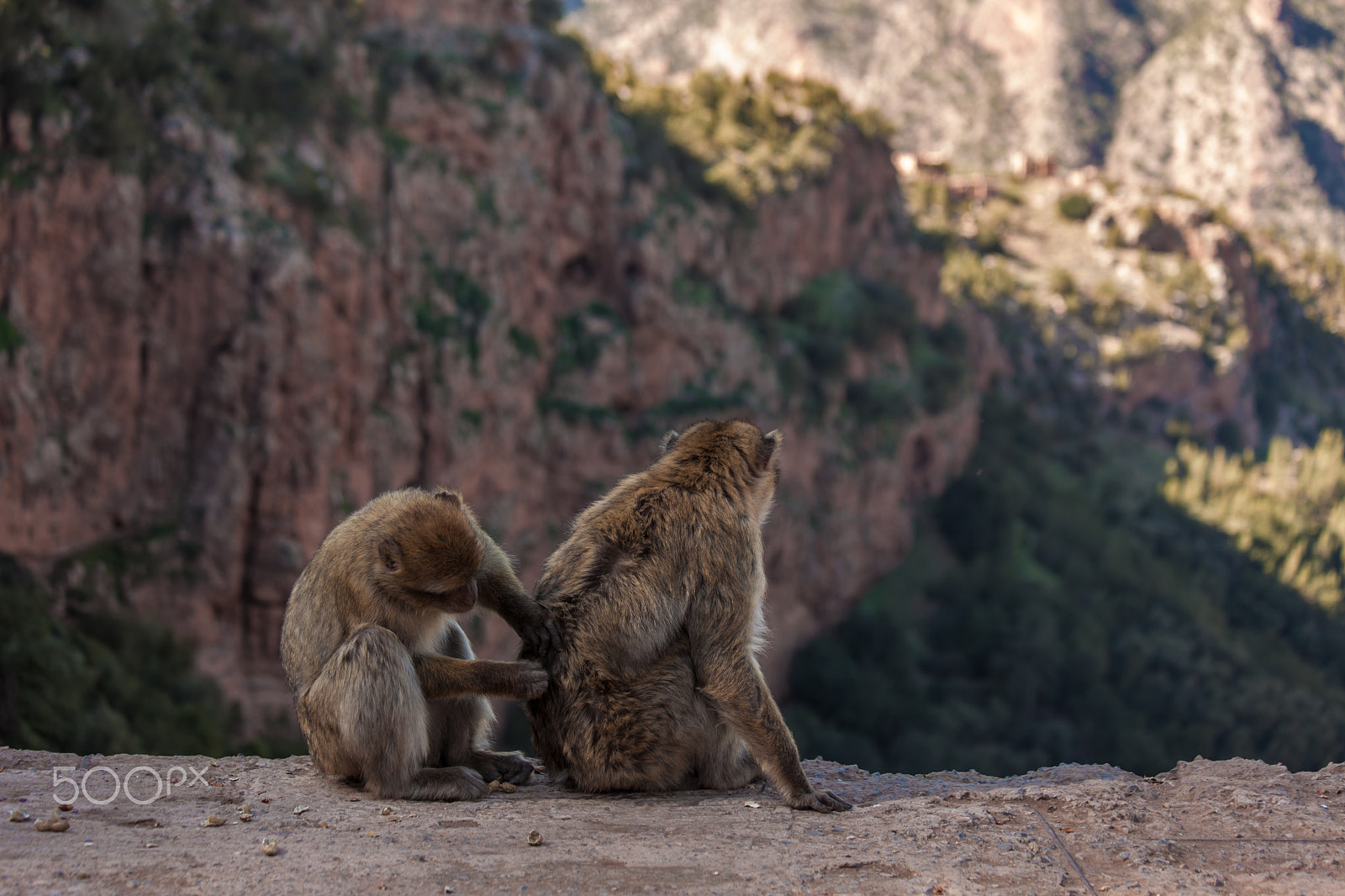 Canon EF 70-300mm F4-5.6 IS USM sample photo. Morroco, ouzoud waterfall photography
