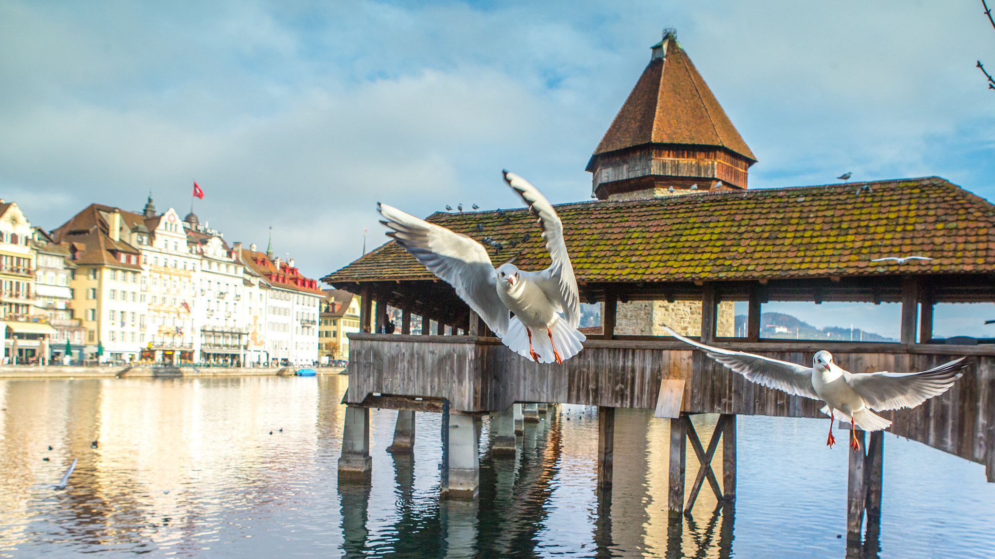 Canon EOS-1D X sample photo. Lucerne, switzerland photography
