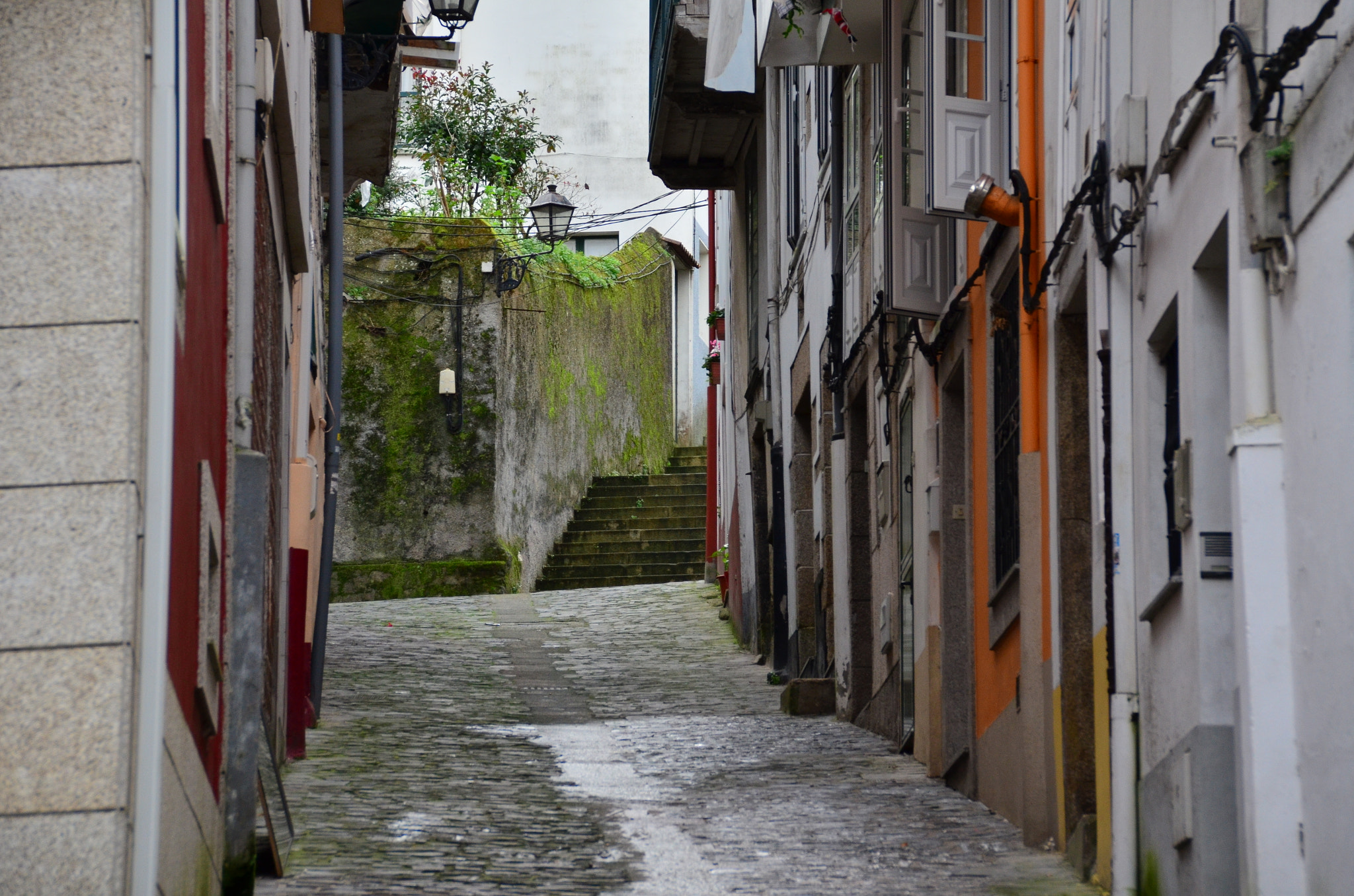 Sigma 18-200mm F3.5-6.3 II DC OS HSM sample photo. Calleja verde photography