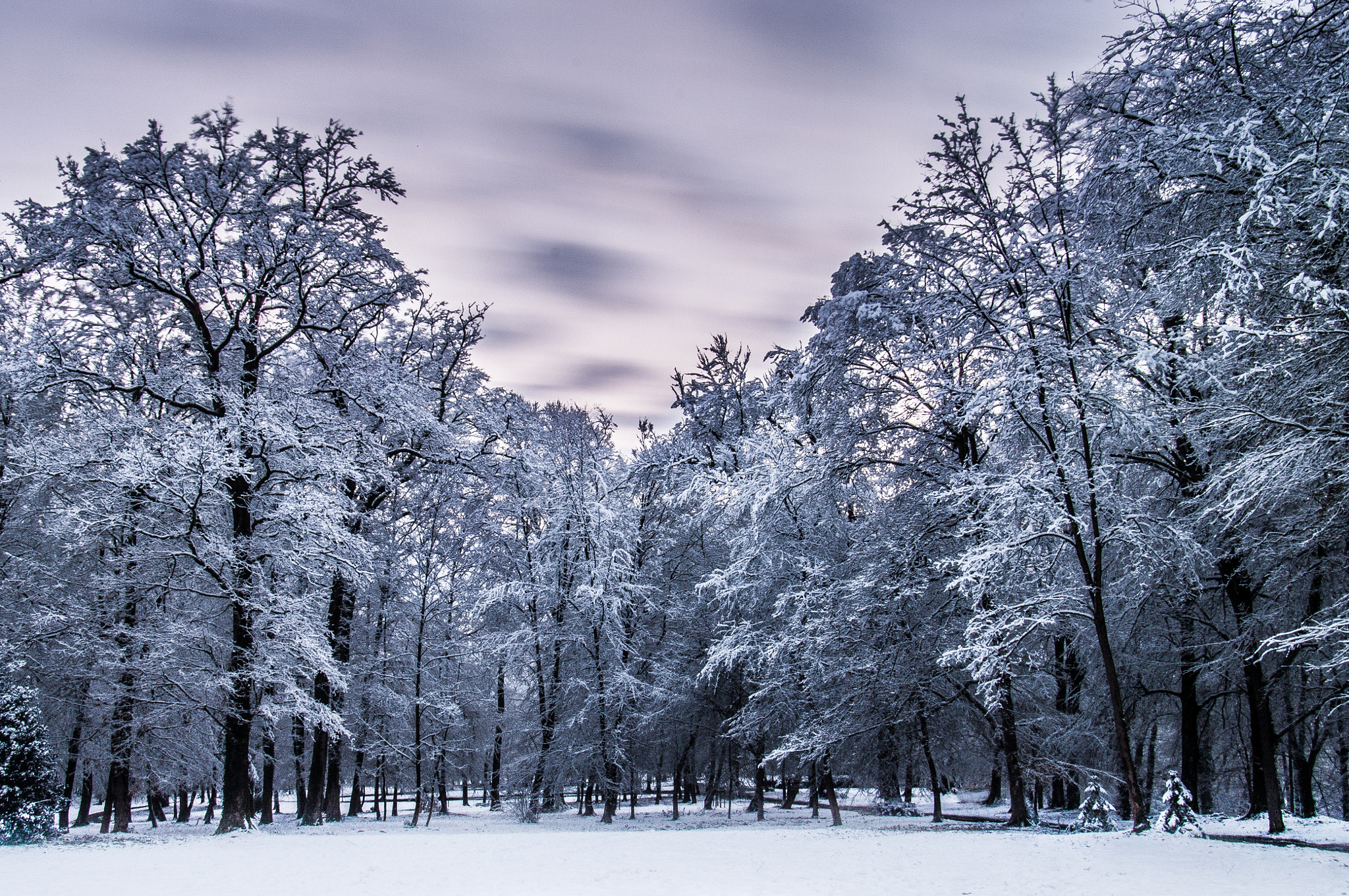 Pentax K20D sample photo. Winter mood photography