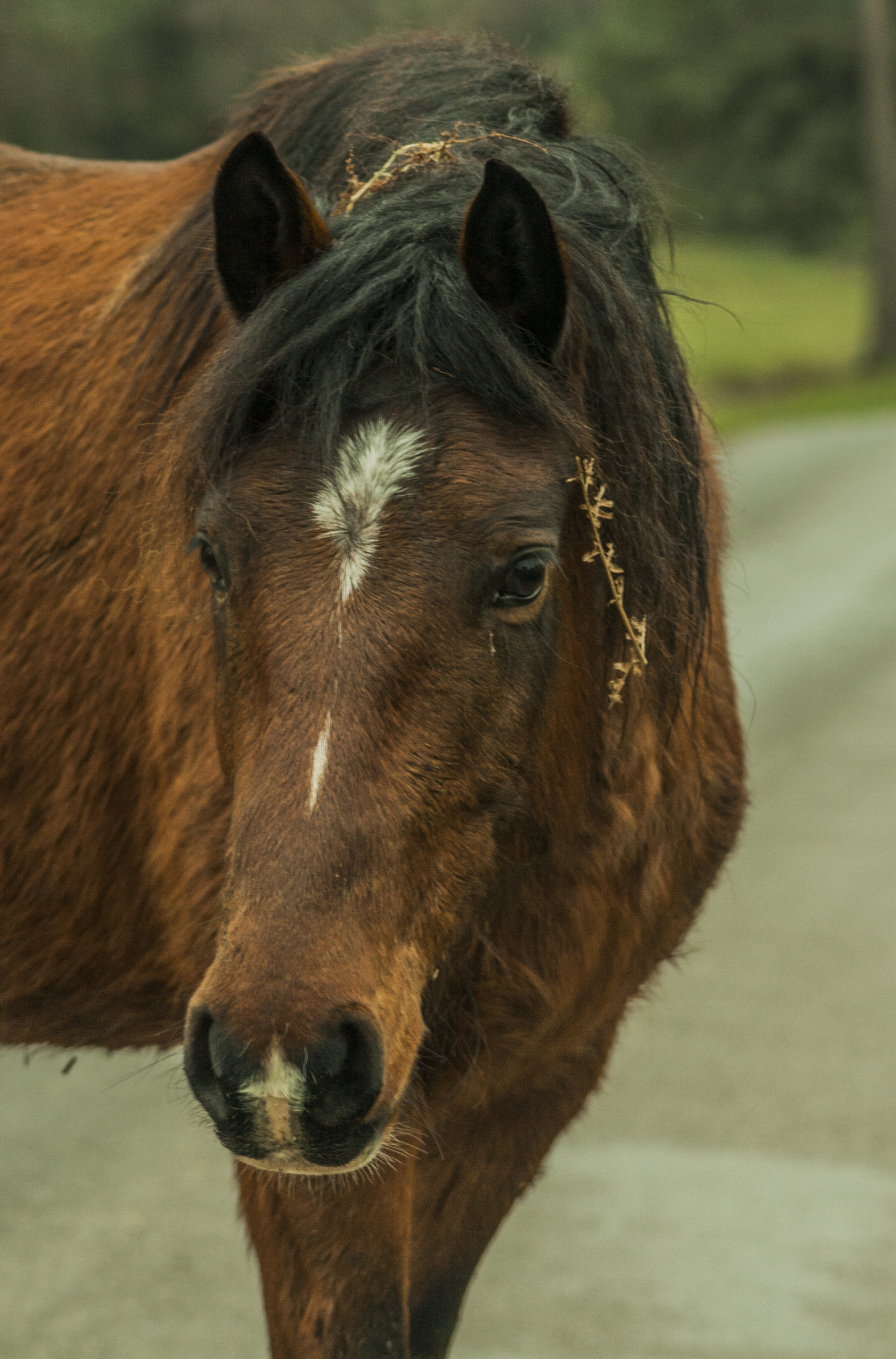 Canon EF 90-300mm F4.5-5.6 sample photo. Mg photography