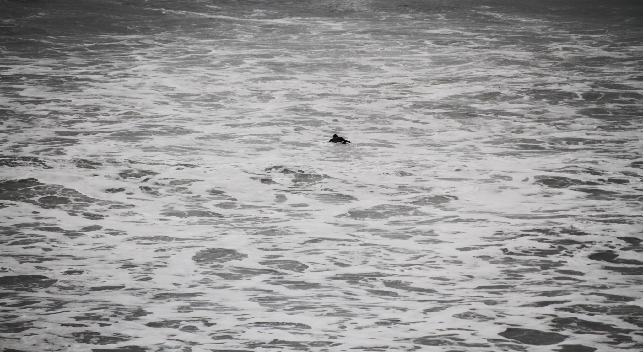 Sigma 18-250mm F3.5-6.3 DC OS HSM sample photo. Swim photography