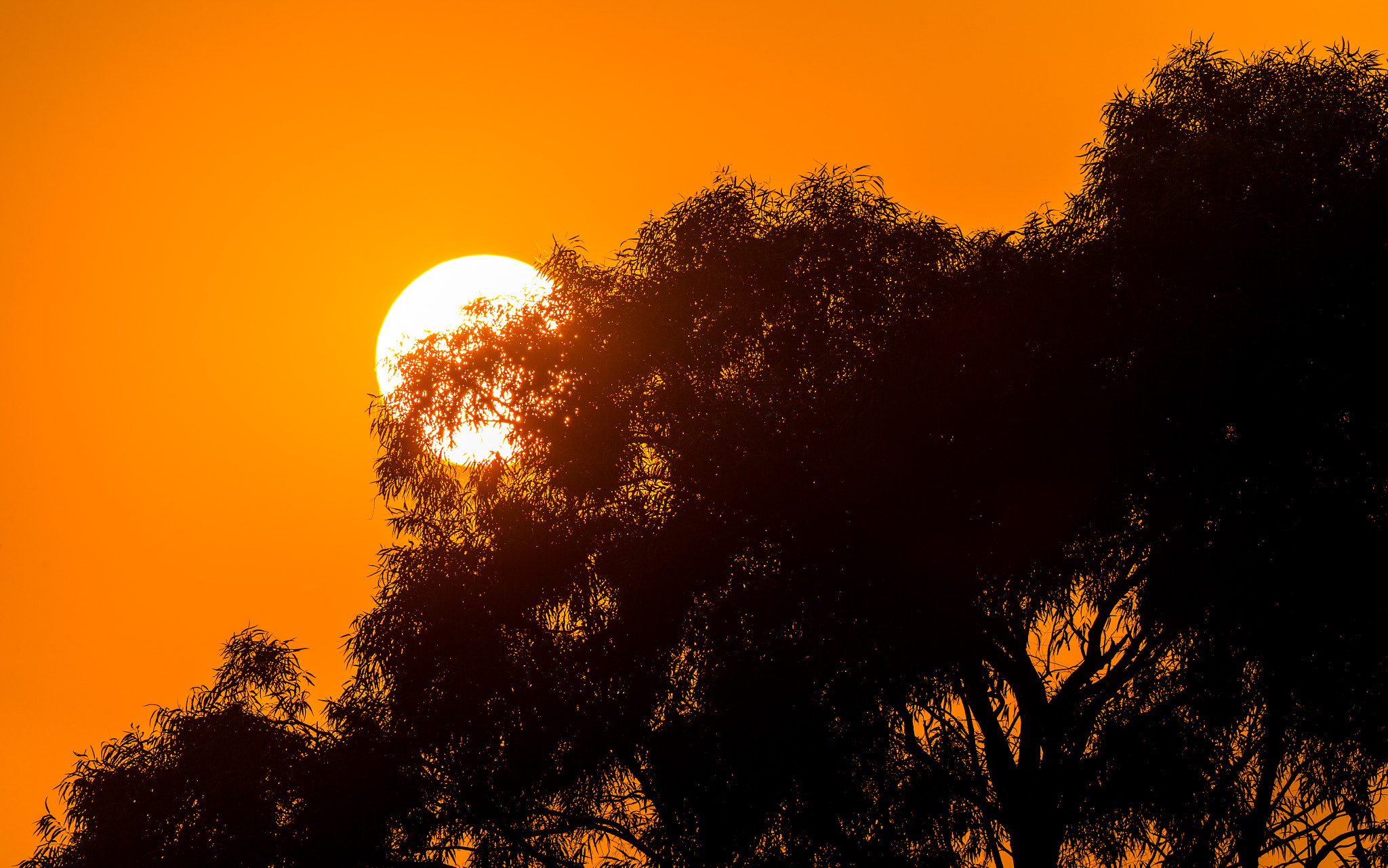 Canon EF 200-400mm F4L IS USM Extender 1.4x sample photo. View from the rooftop photography