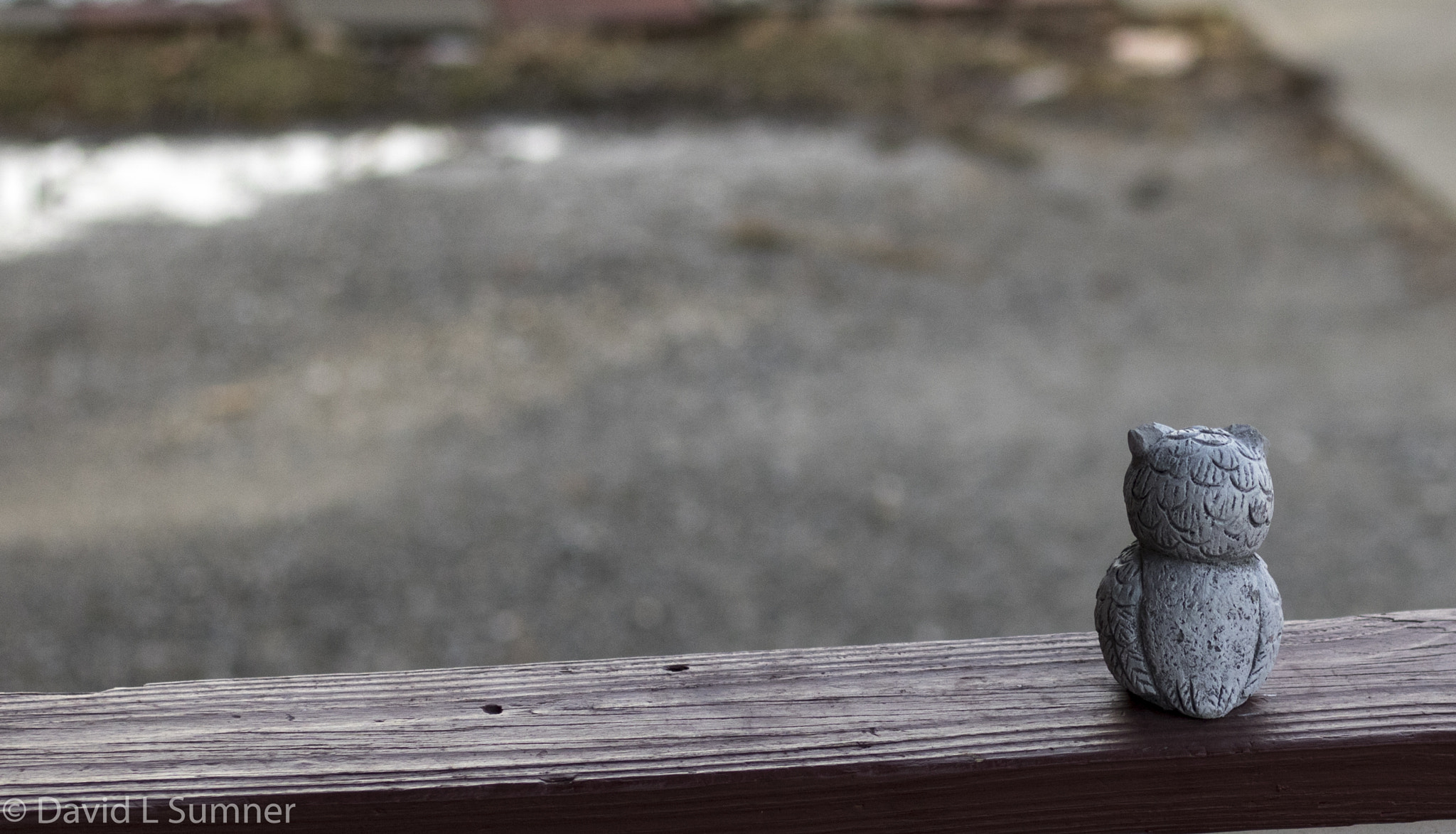 Canon EOS 760D (EOS Rebel T6s / EOS 8000D) sample photo. Whoooo photography