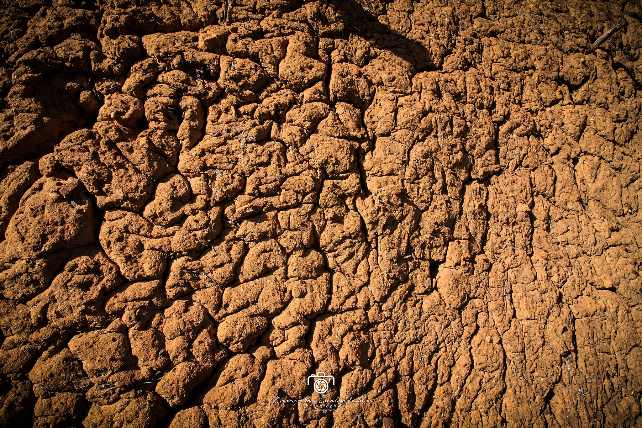 Canon EOS 500D (EOS Rebel T1i / EOS Kiss X3) sample photo. Ancestral wall photography