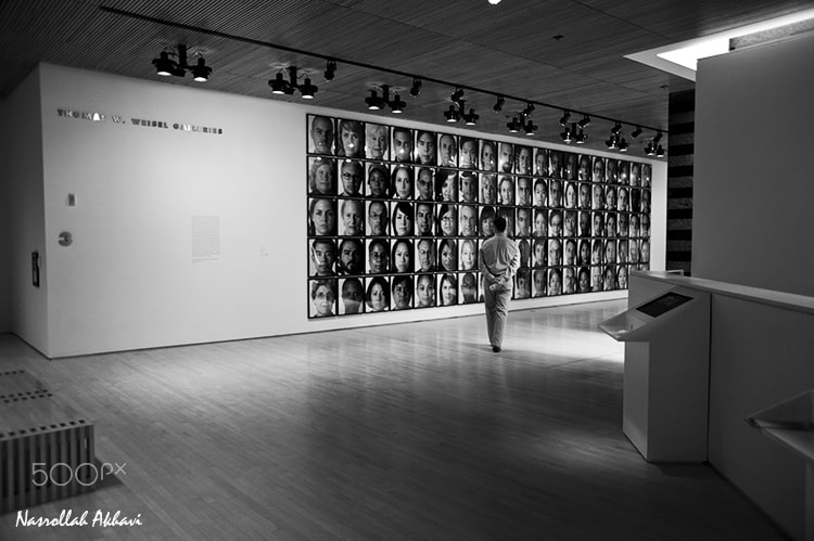 Nikon D3 sample photo. The gallery photography