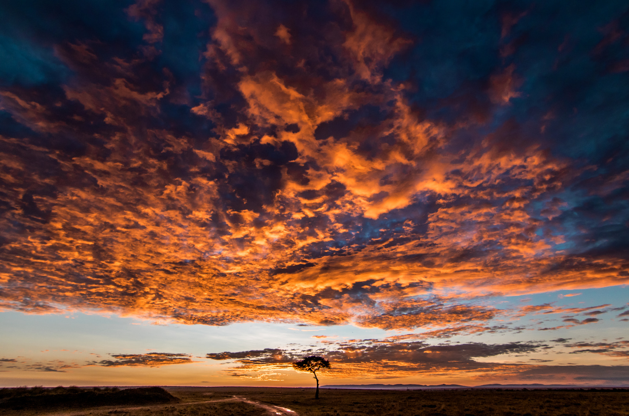 Canon EOS 750D (EOS Rebel T6i / EOS Kiss X8i) sample photo. African sunrise photography