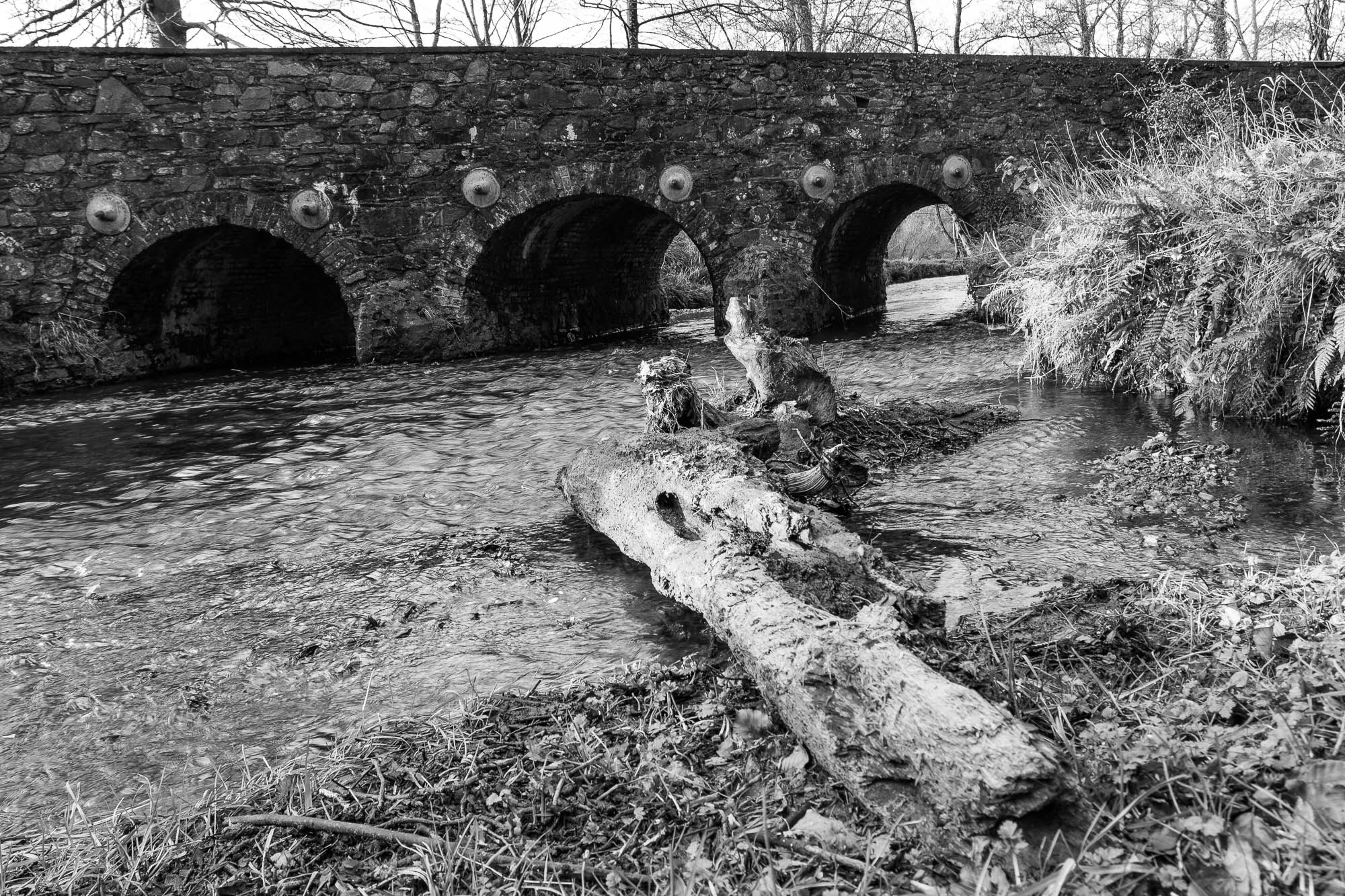 Canon EF 17-40mm F4L USM sample photo. Minnowburn photography