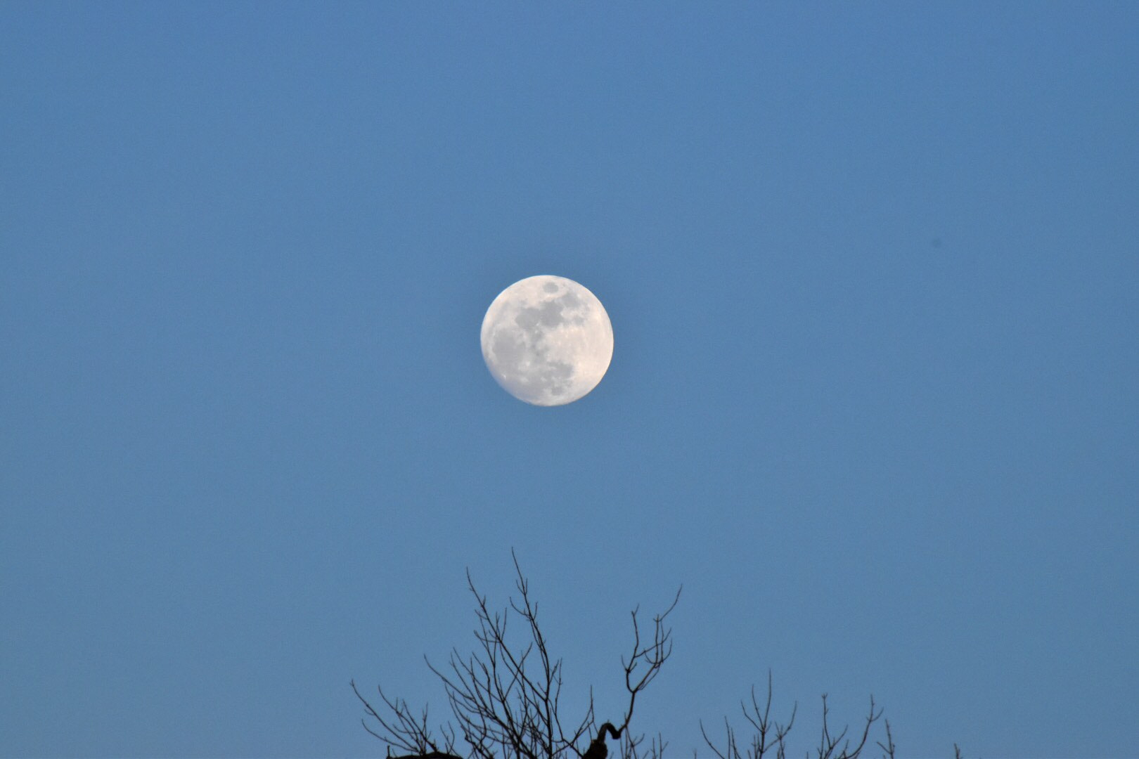 Nikon D5500 sample photo. Daylight photography