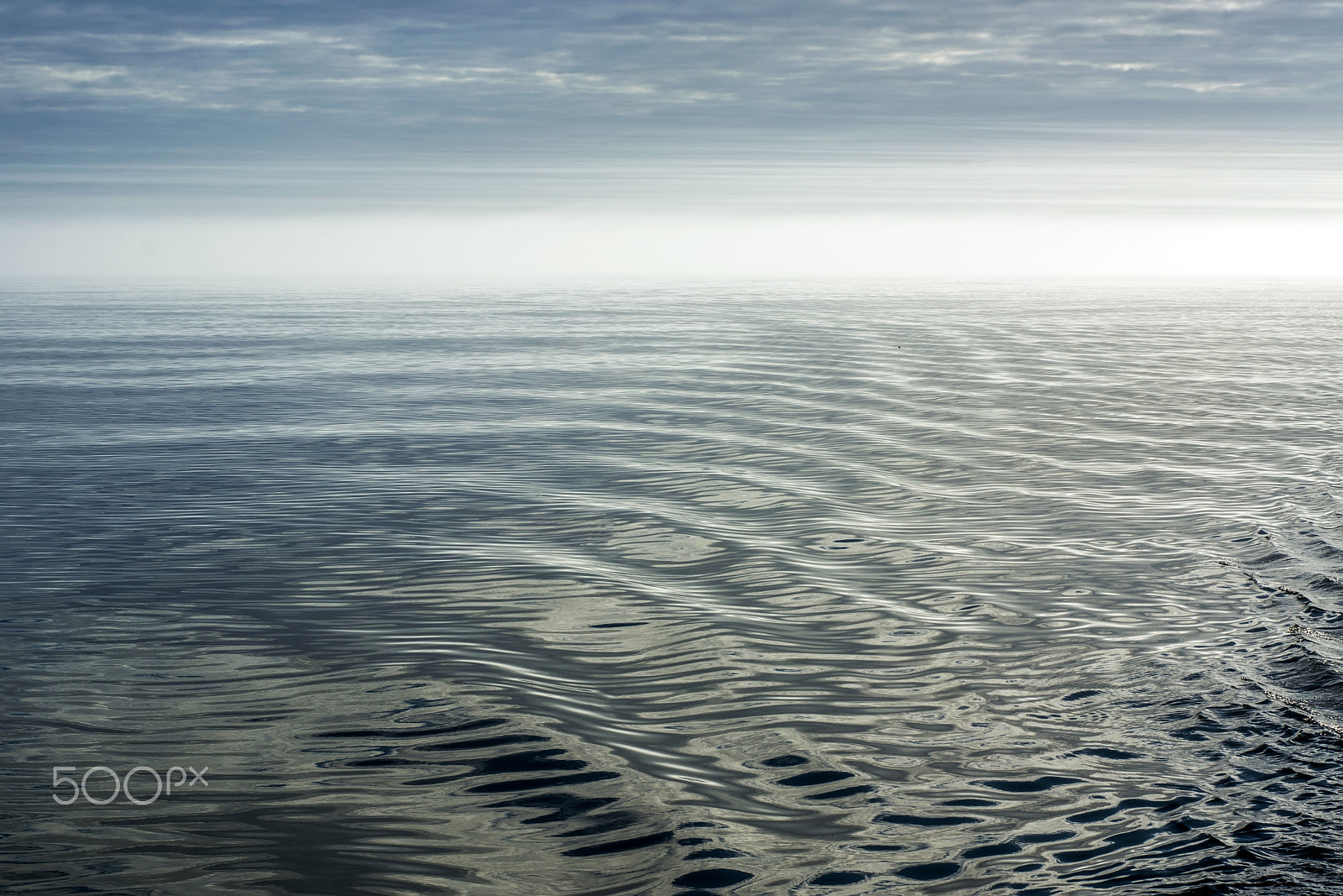 Minolta AF 50mm F1.7 sample photo. Sea of serenity photography