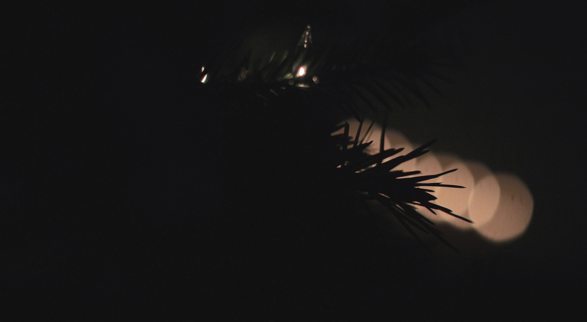 Sigma A 24-105 mm f/4 DG OS HSM sample photo. Fullsizeoutput photography