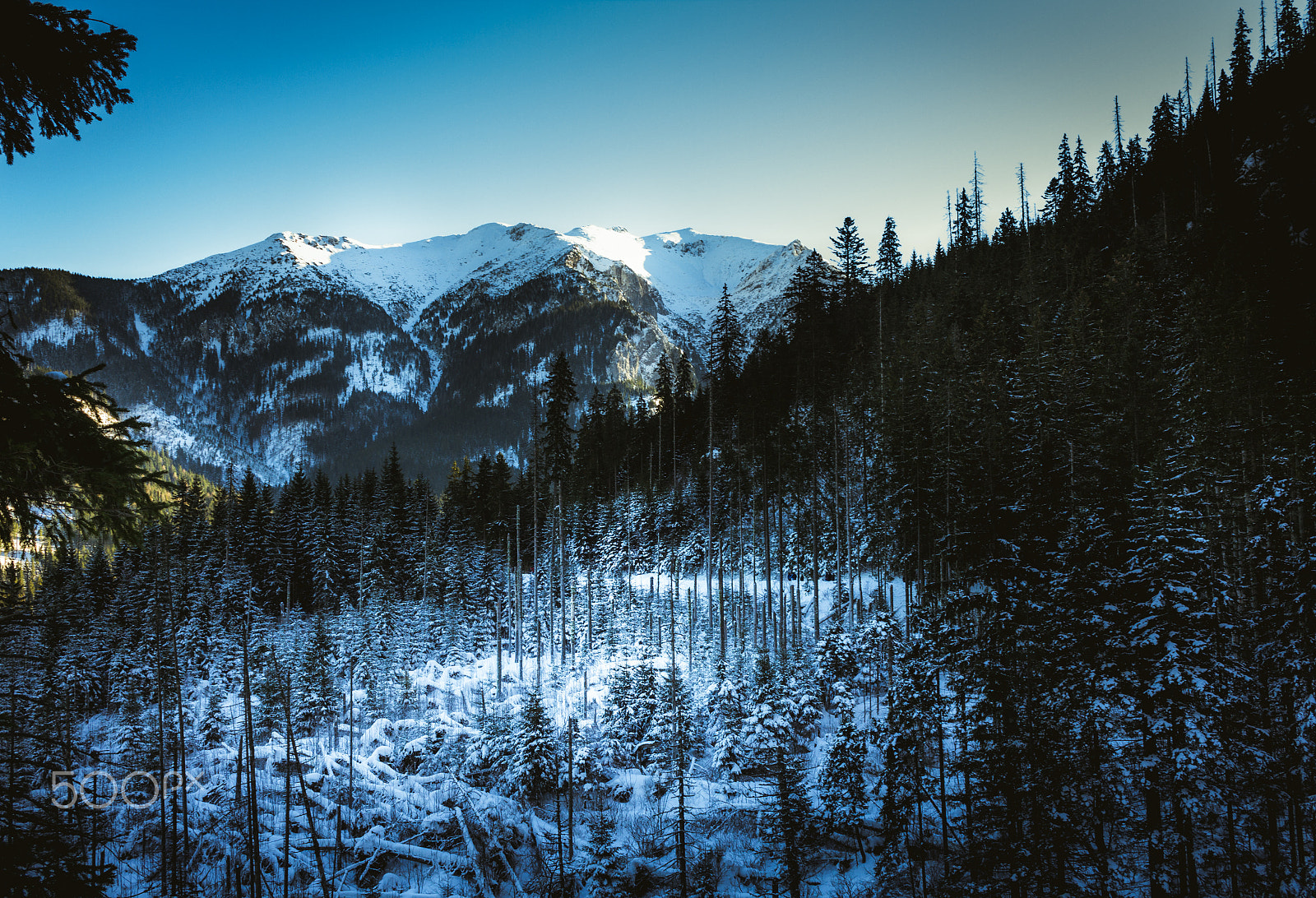 Canon EF-S 24mm F2.8 STM sample photo. Montanha nevada photography