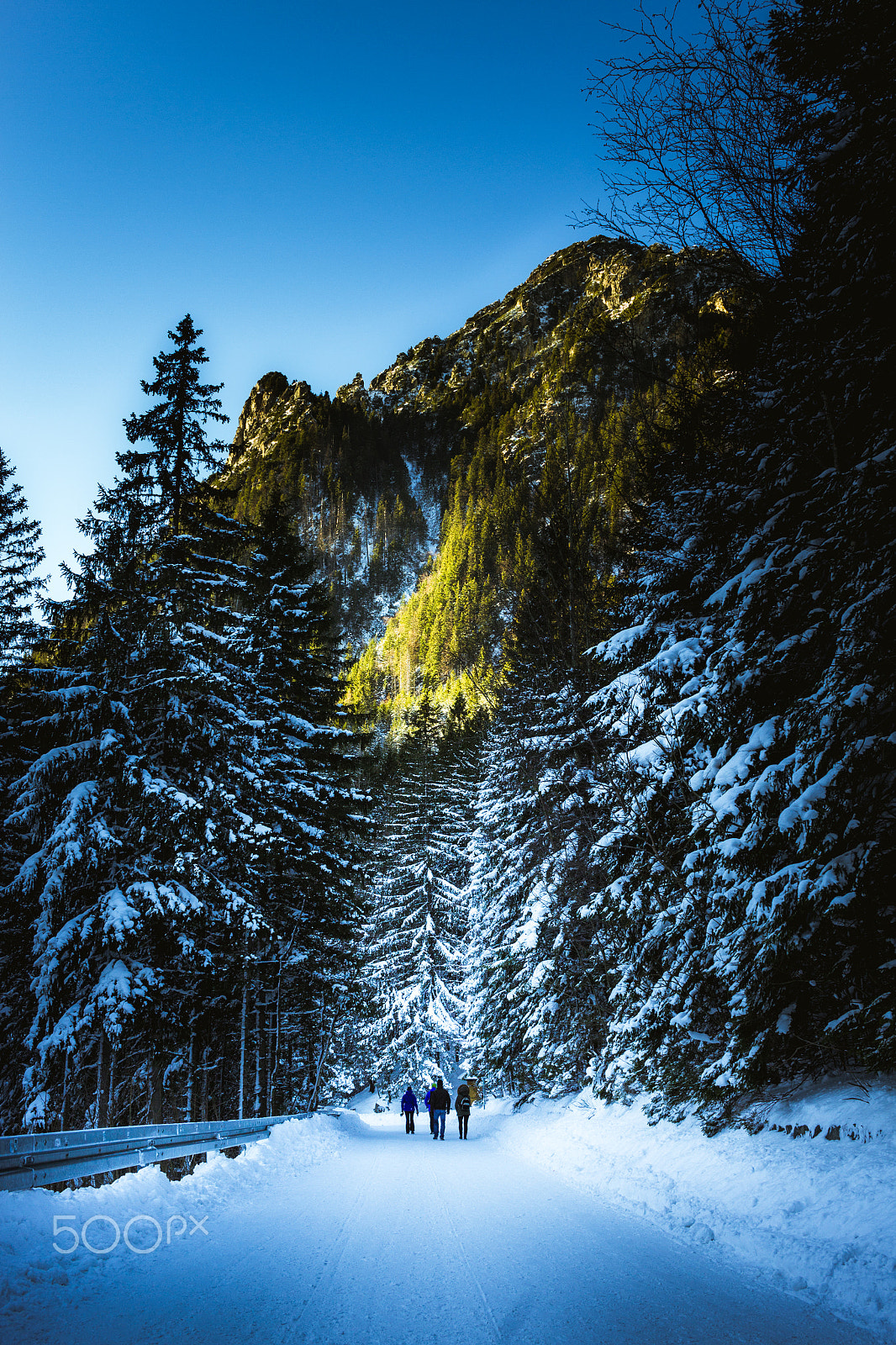 Canon EF-S 24mm F2.8 STM sample photo. Caminho de neve photography