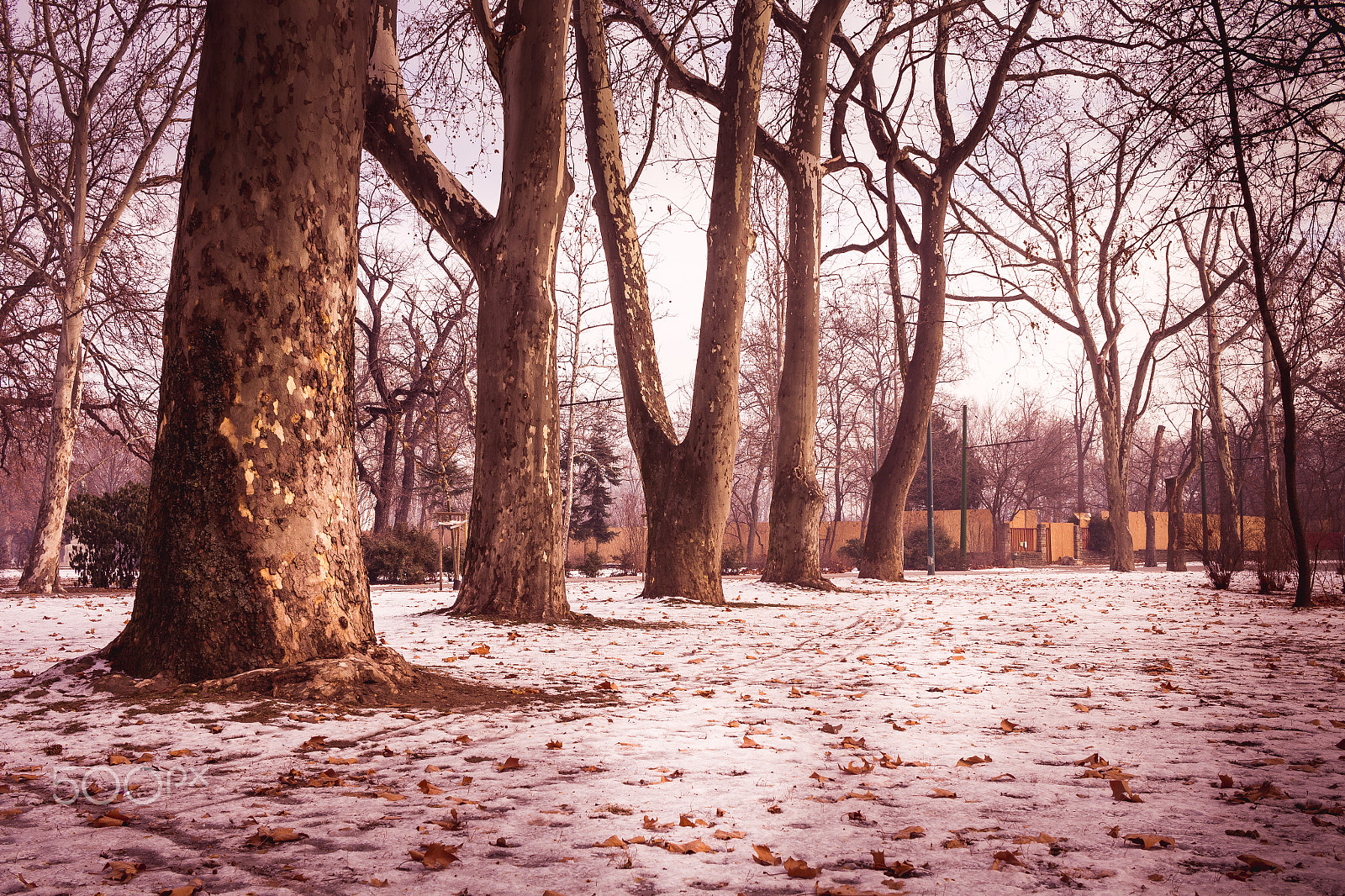 Canon EF-S 24mm F2.8 STM sample photo. Parque em budapeste photography