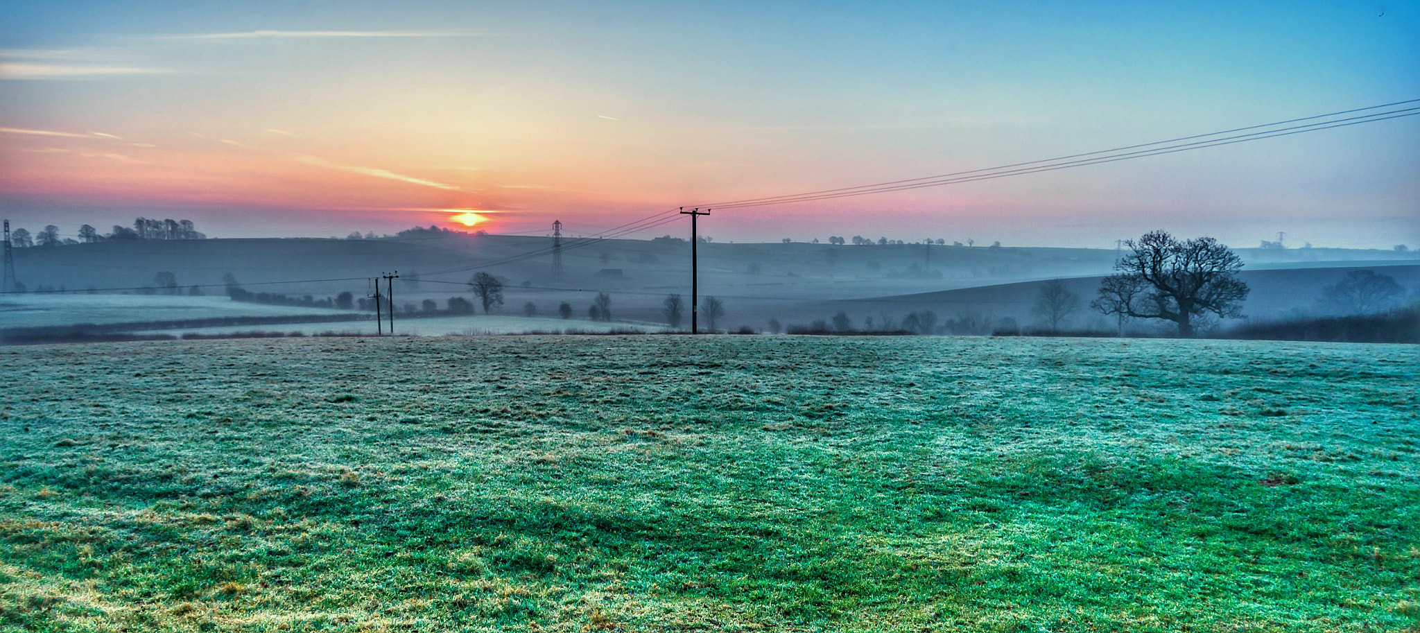 Pentax K-50 sample photo. Frosty grass. photography