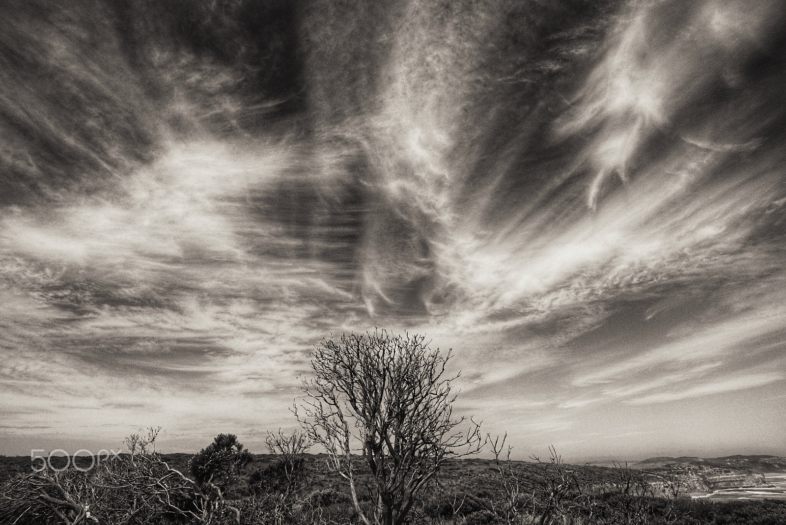 Sony FE 24-240mm F3.5-6.3 OSS sample photo. Cirrus at phillip island, australia photography