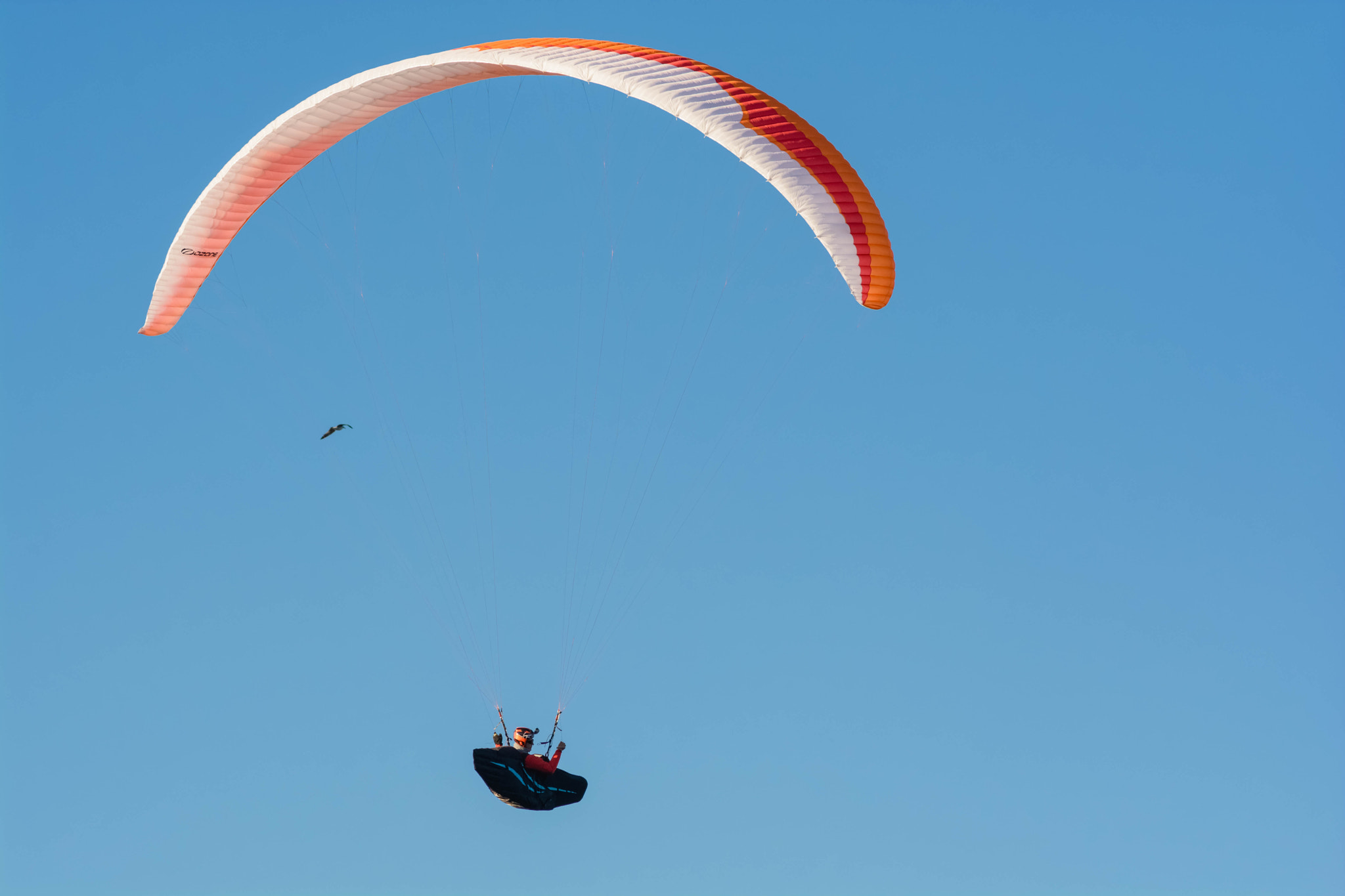 Nikon D7100 + Nikon AF Nikkor 180mm F2.8D ED-IF sample photo. 31626786744.jpg photography
