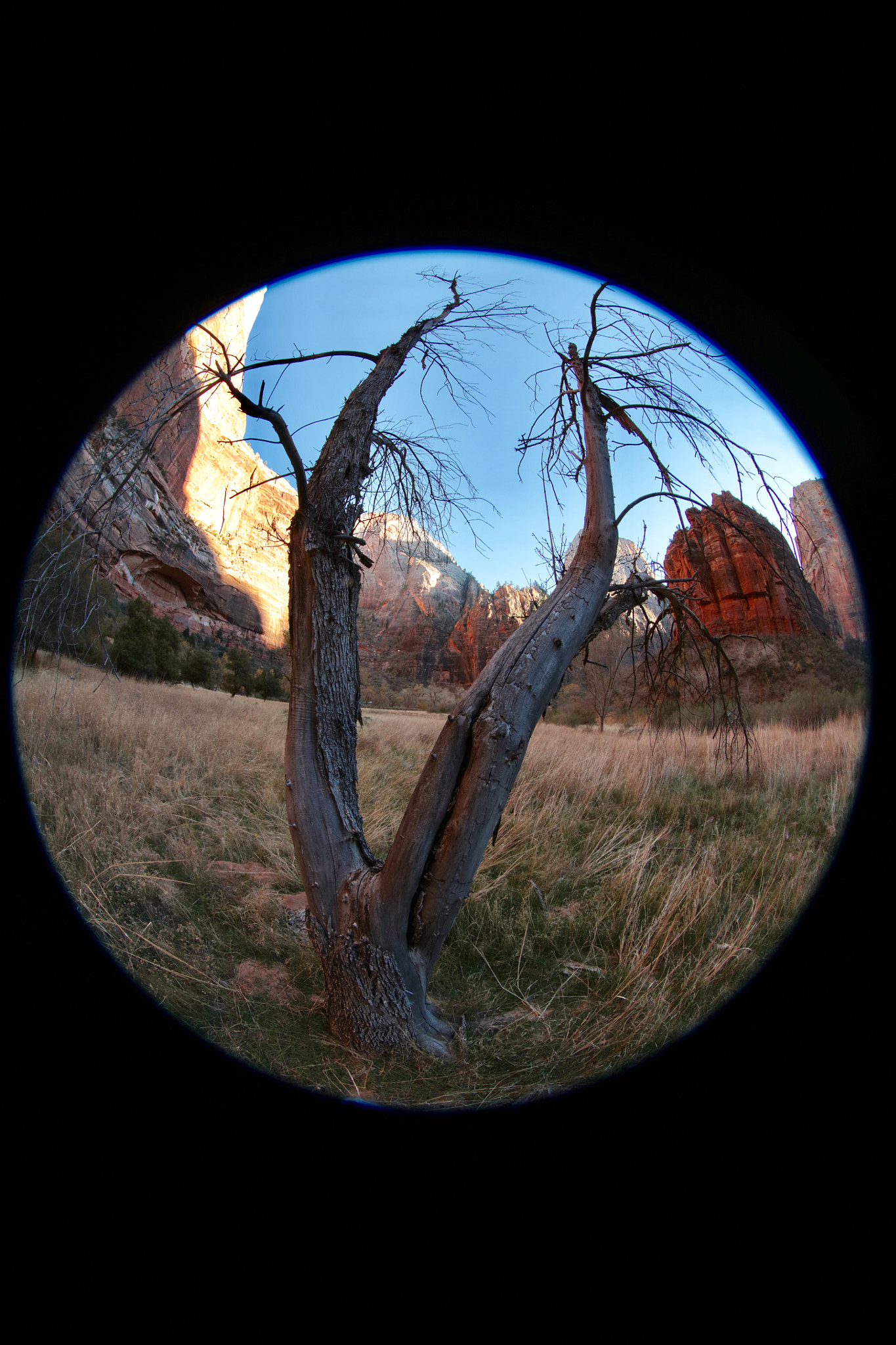 Canon EF 8-15mm F4L Fisheye USM sample photo. Feet in the clouds. photography