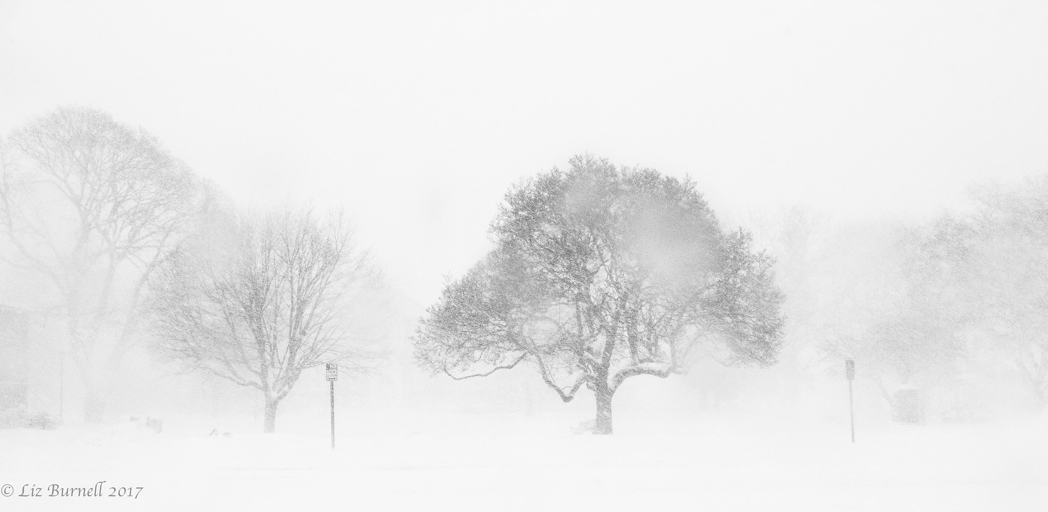 Canon EOS 70D + Sigma 24mm F1.4 DG HSM Art sample photo. White out! photography