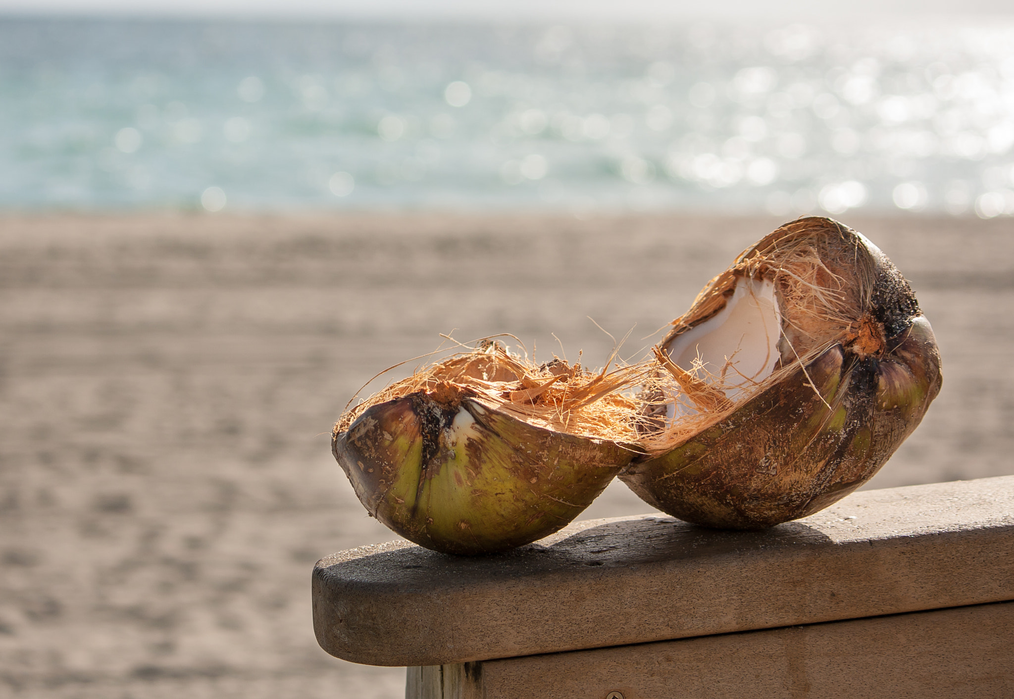 Canon EF-S 55-250mm F4-5.6 IS sample photo. 02/02/2017 - coconut on the beach photography