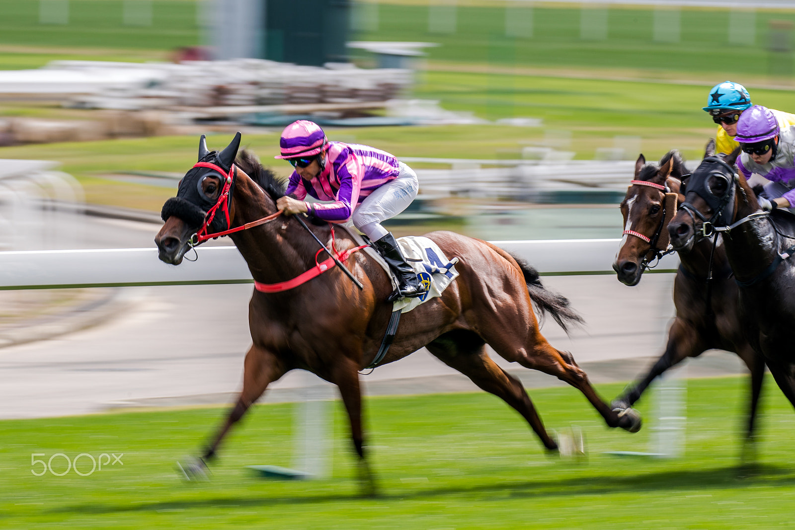 Canon EOS-1D X Mark II sample photo. Horse racing photography