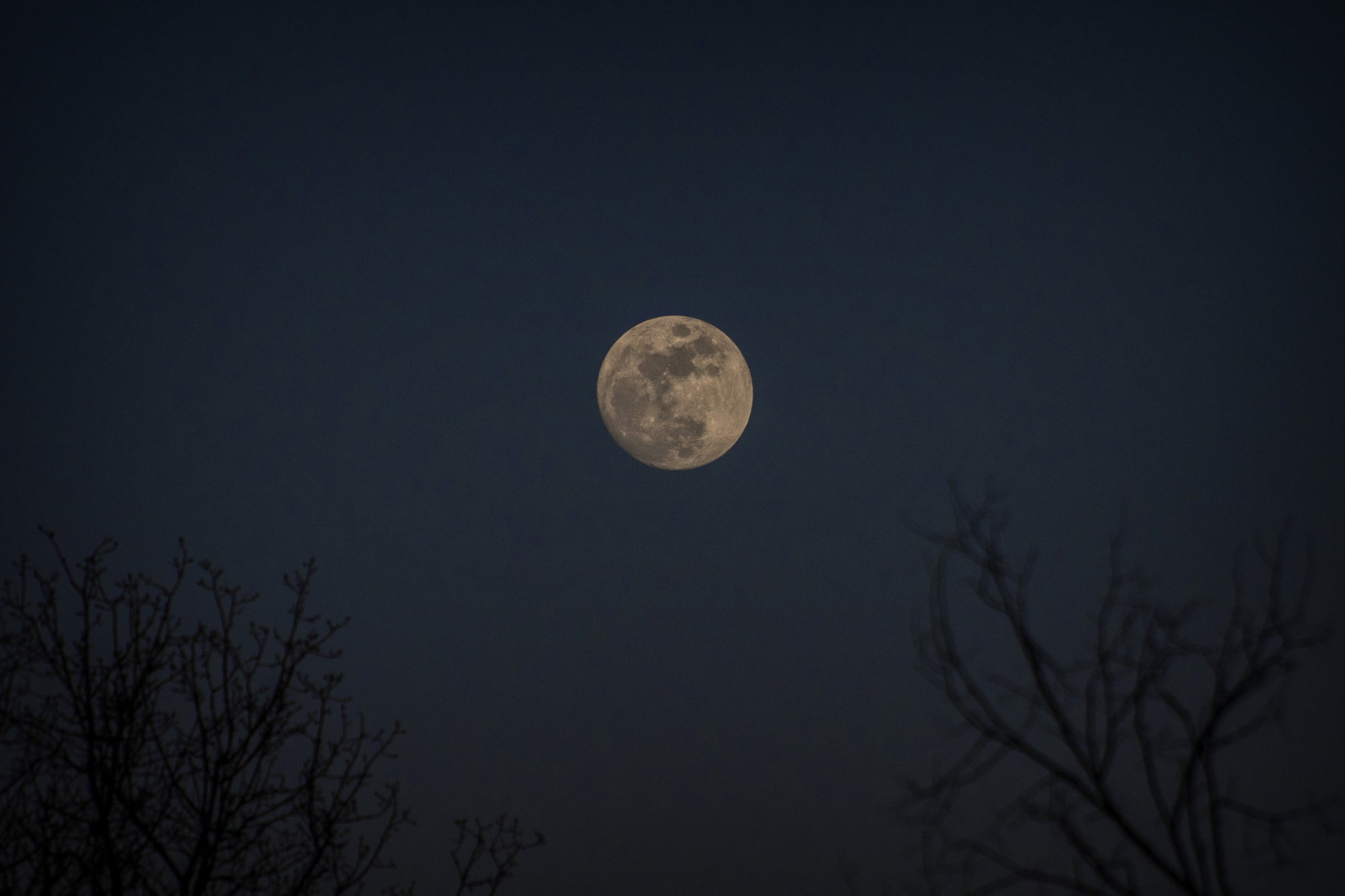 Nikon D500 + Nikon AF-S Nikkor 70-300mm F4.5-5.6G VR sample photo. Moonrise. windsor, on. photography