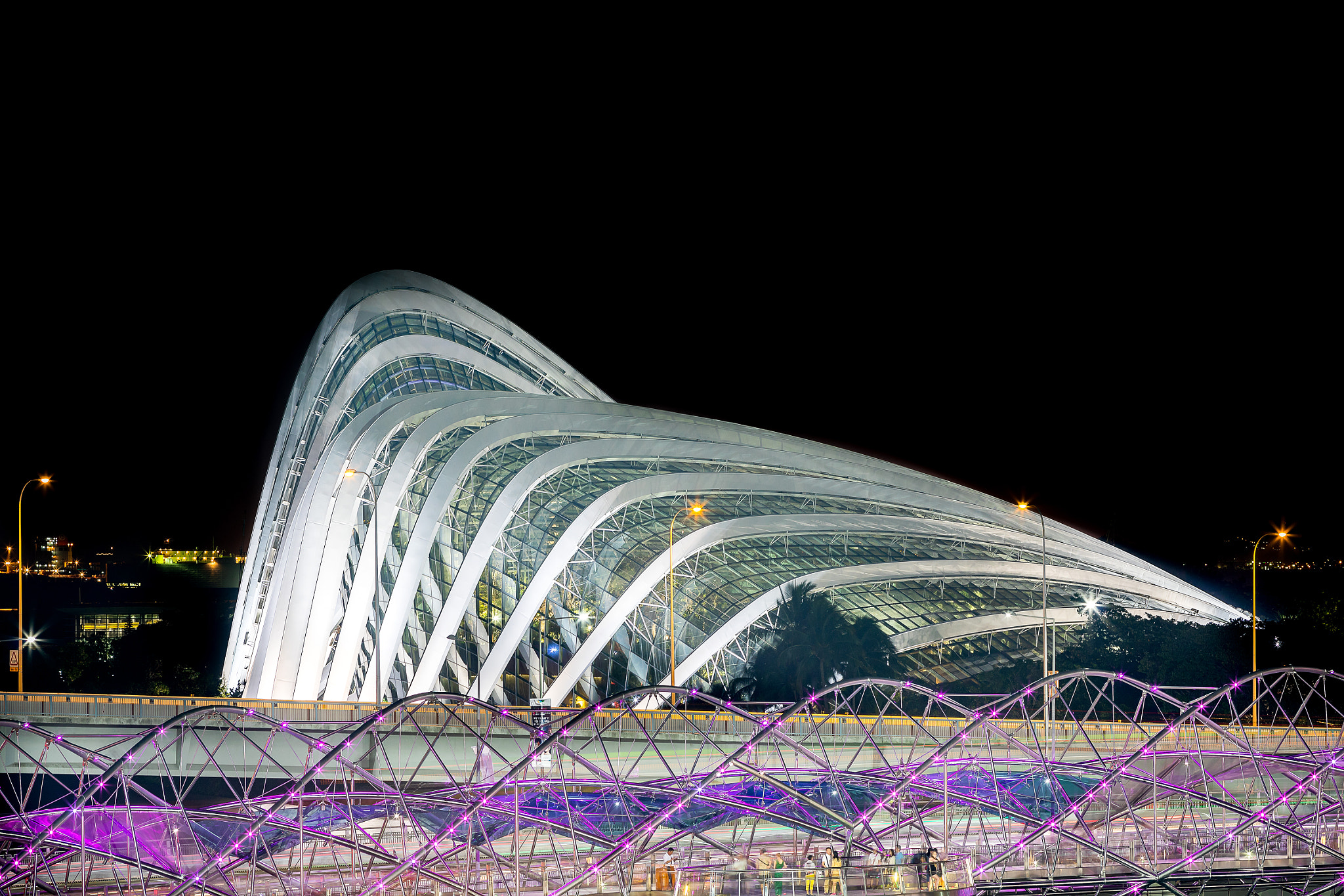 Canon EF 200mm F2.8L II USM sample photo. Cloud forest and flower dome conservatory photography