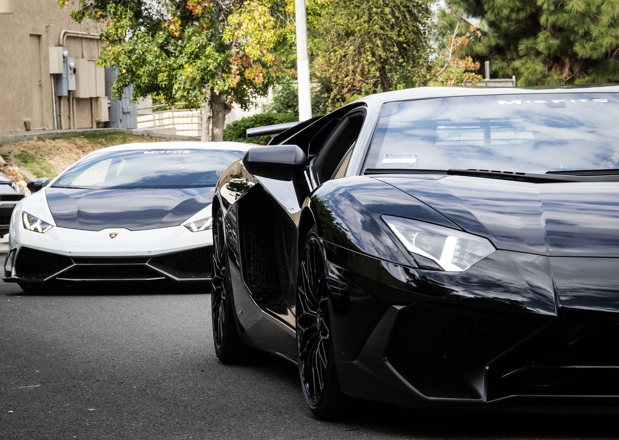 Canon EOS 1200D (EOS Rebel T5 / EOS Kiss X70 / EOS Hi) sample photo. Angry bulls photography